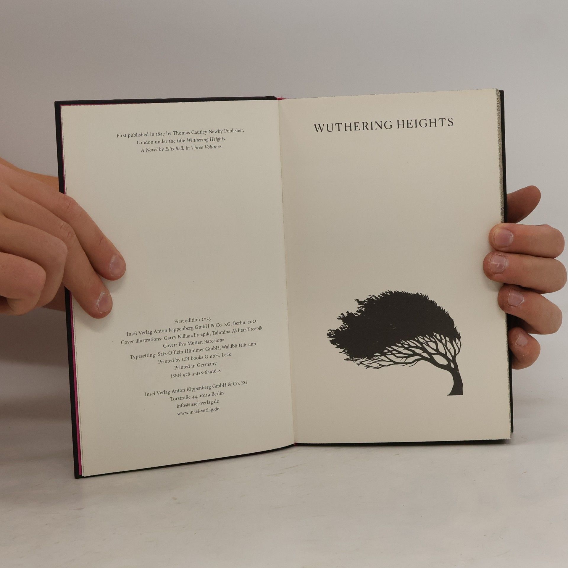 Emily Brontë Timeless Classics by Insel: Wuthering Heights