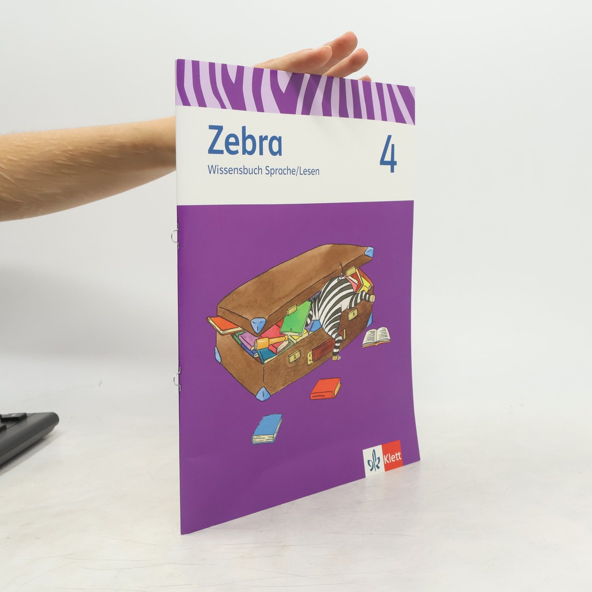 Autorenkollektiv Zebra - 4: Wissensbuch Sprache/Lesen