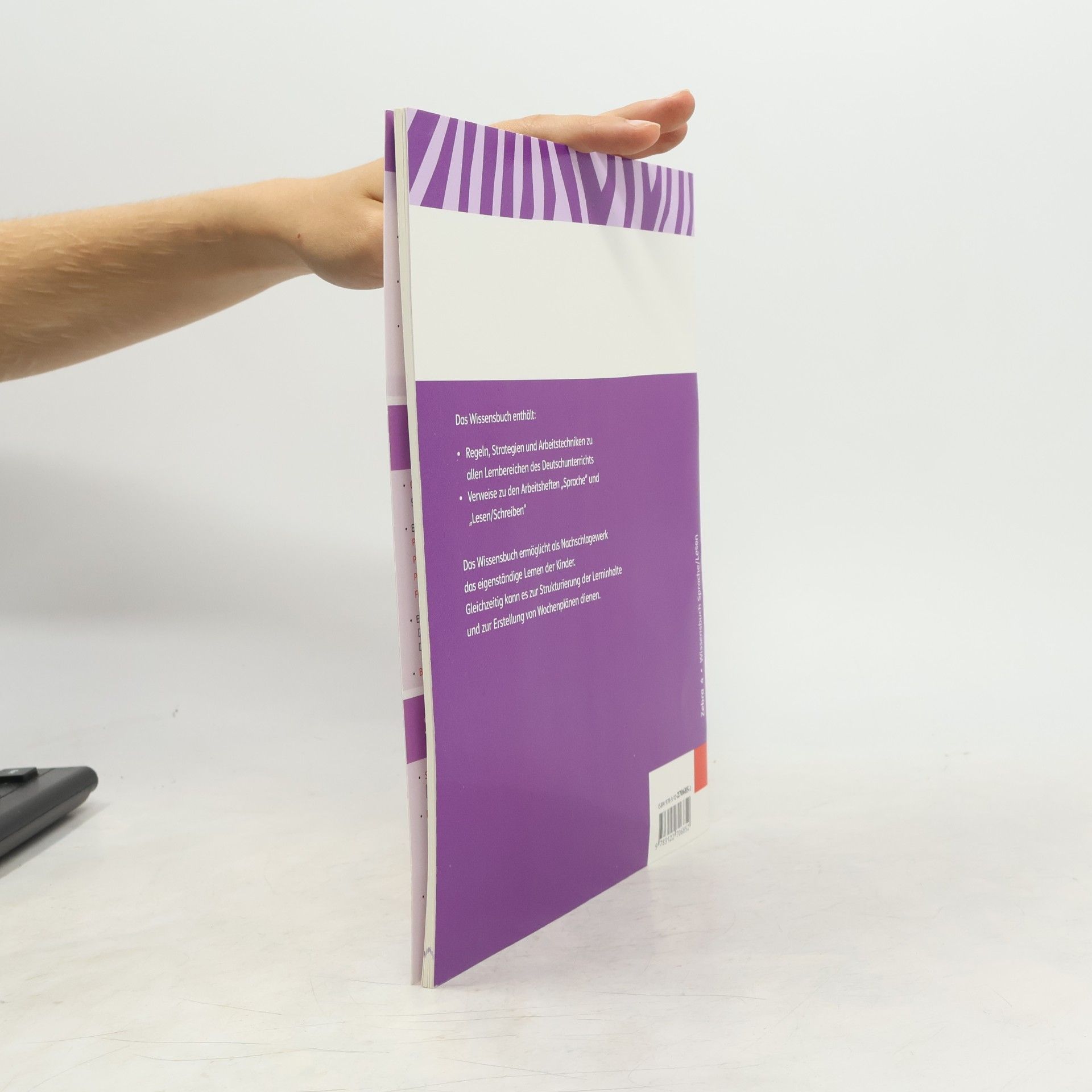 Zebra - 4: Wissensbuch Sprache/Lesen