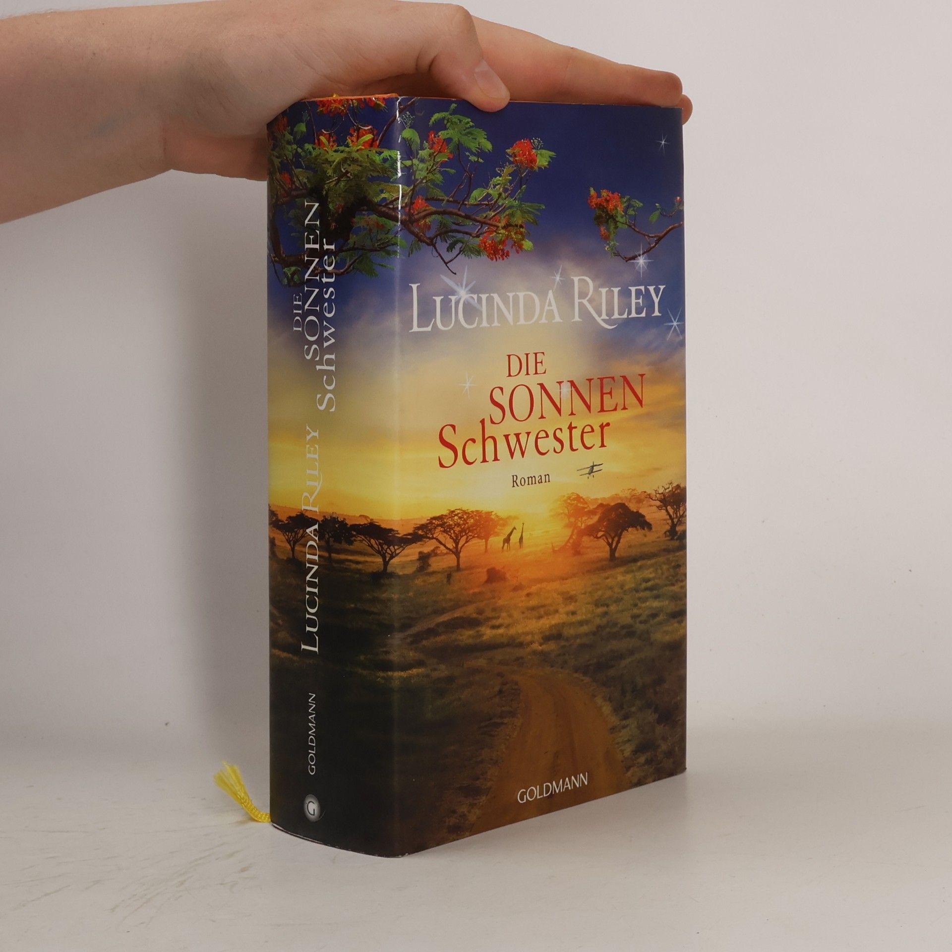 Lucinda Riley Die Sonnenschwester
