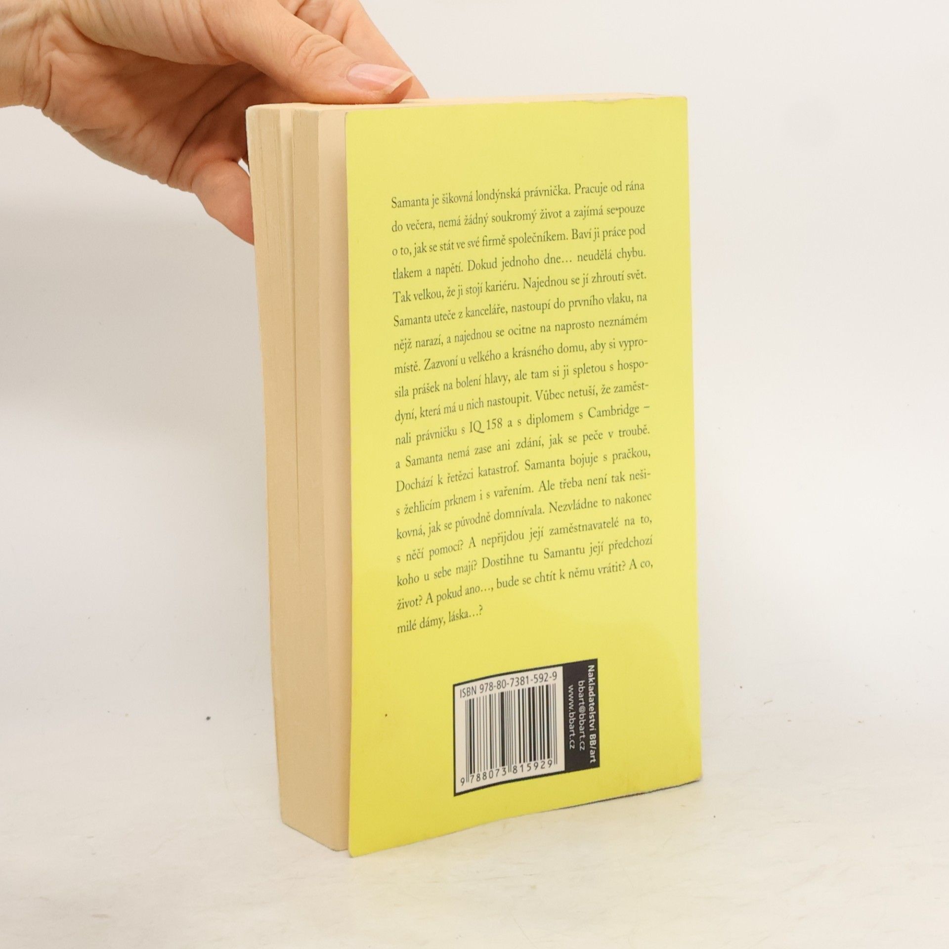Sophie Kinsella Bohyně v domácnosti