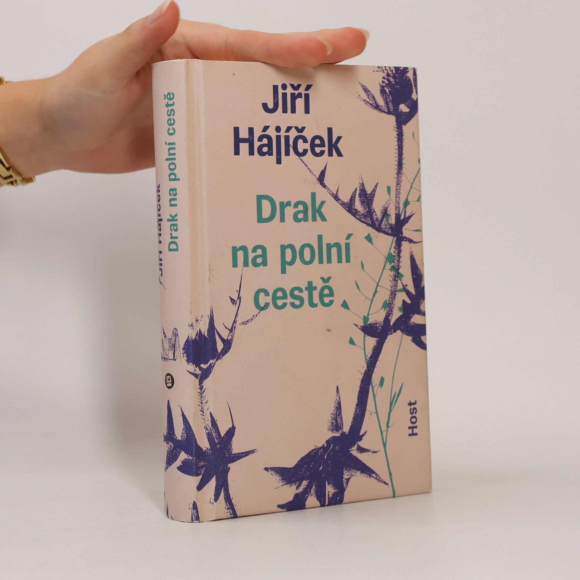 Jiří Hájíček Drak na polní cestě