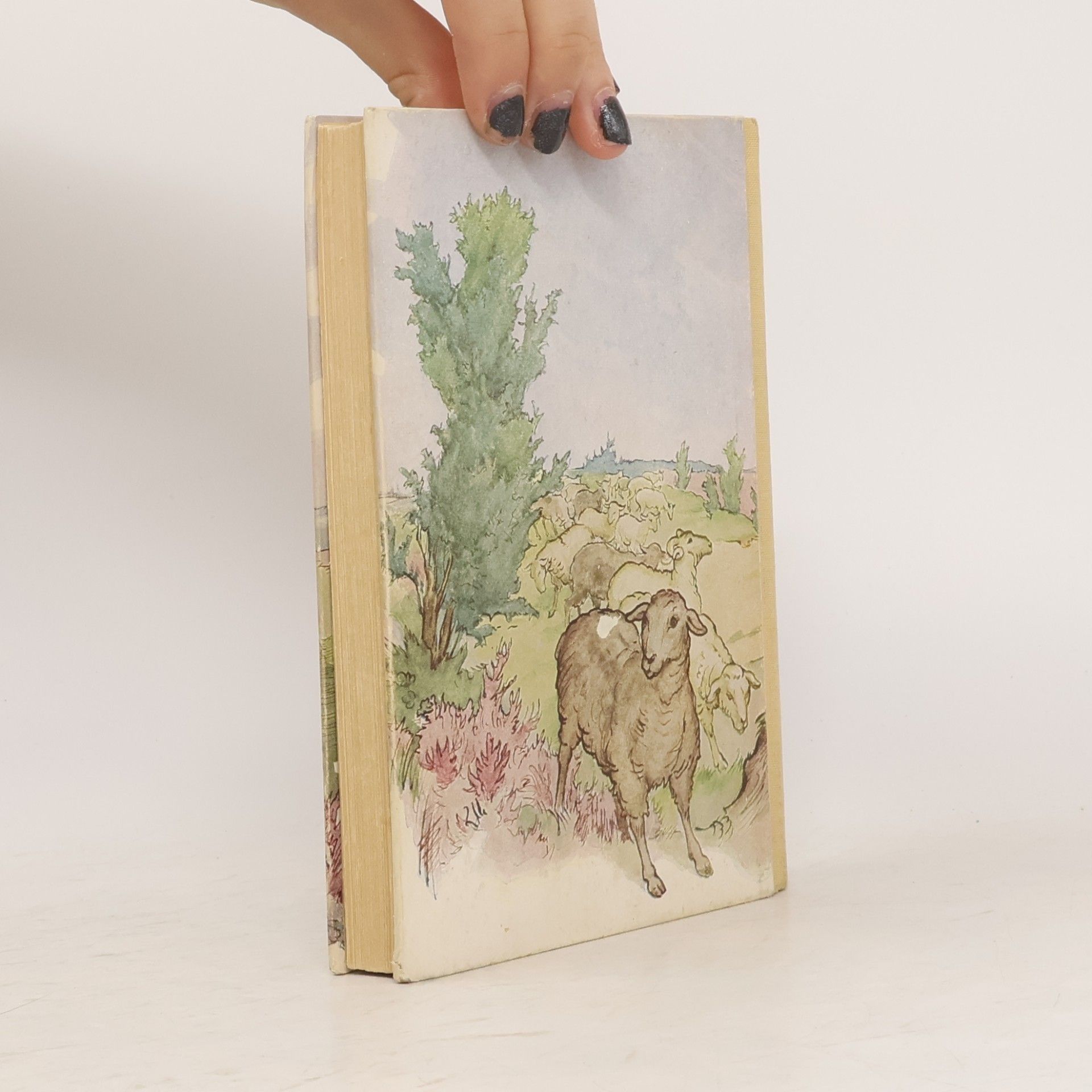 Magda Trott Rosemarie das Heidekind