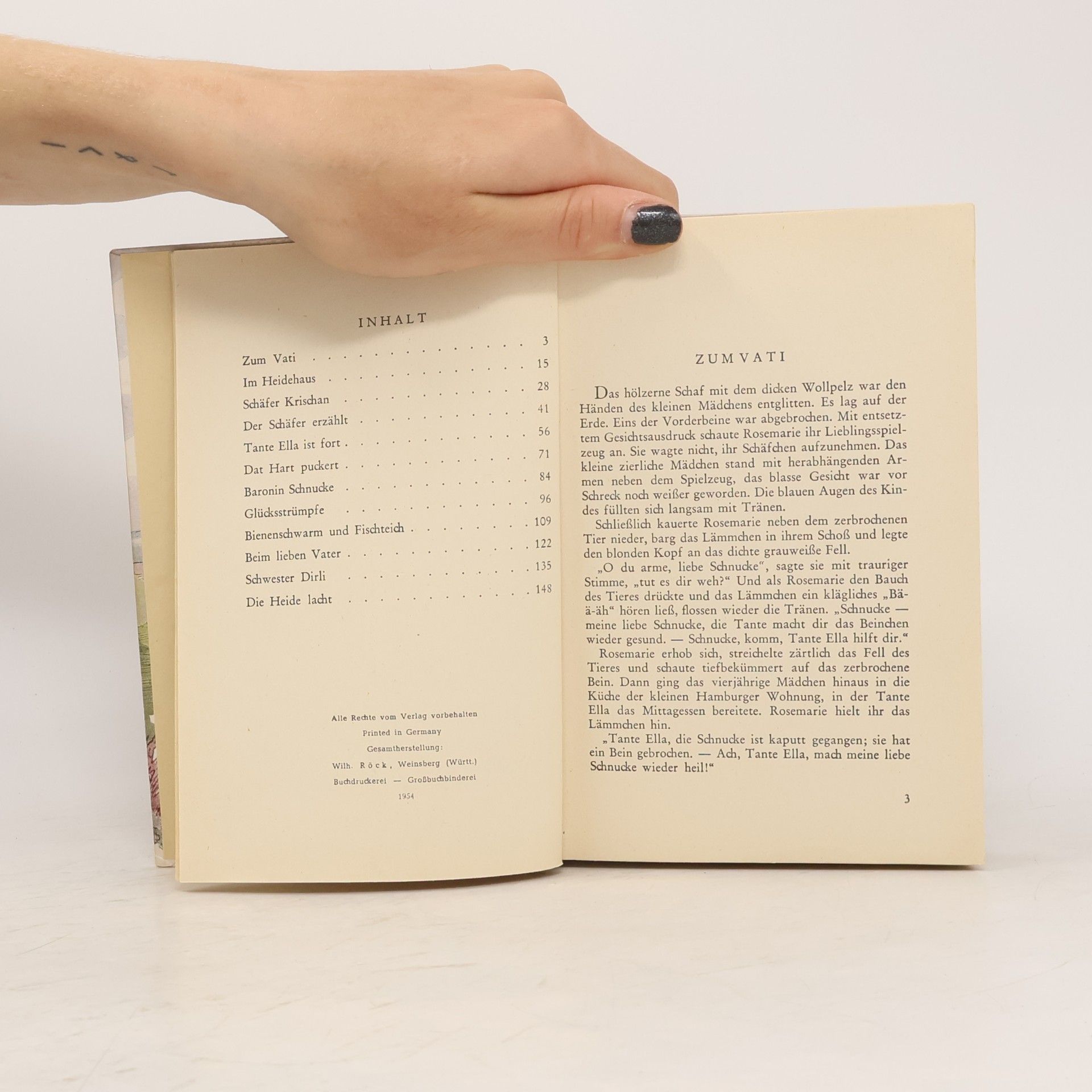 Magda Trott Rosemarie das Heidekind