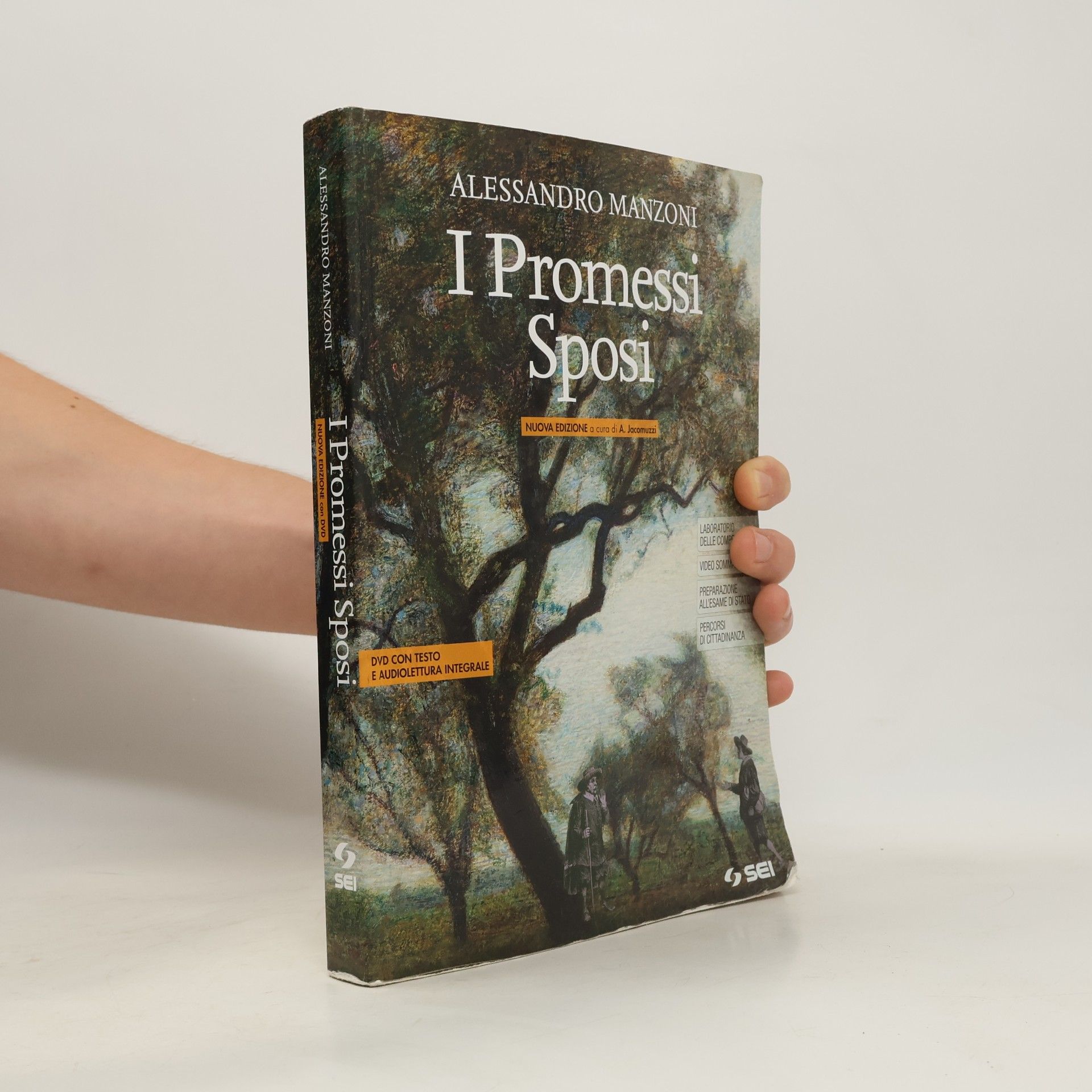 I promessi sposi