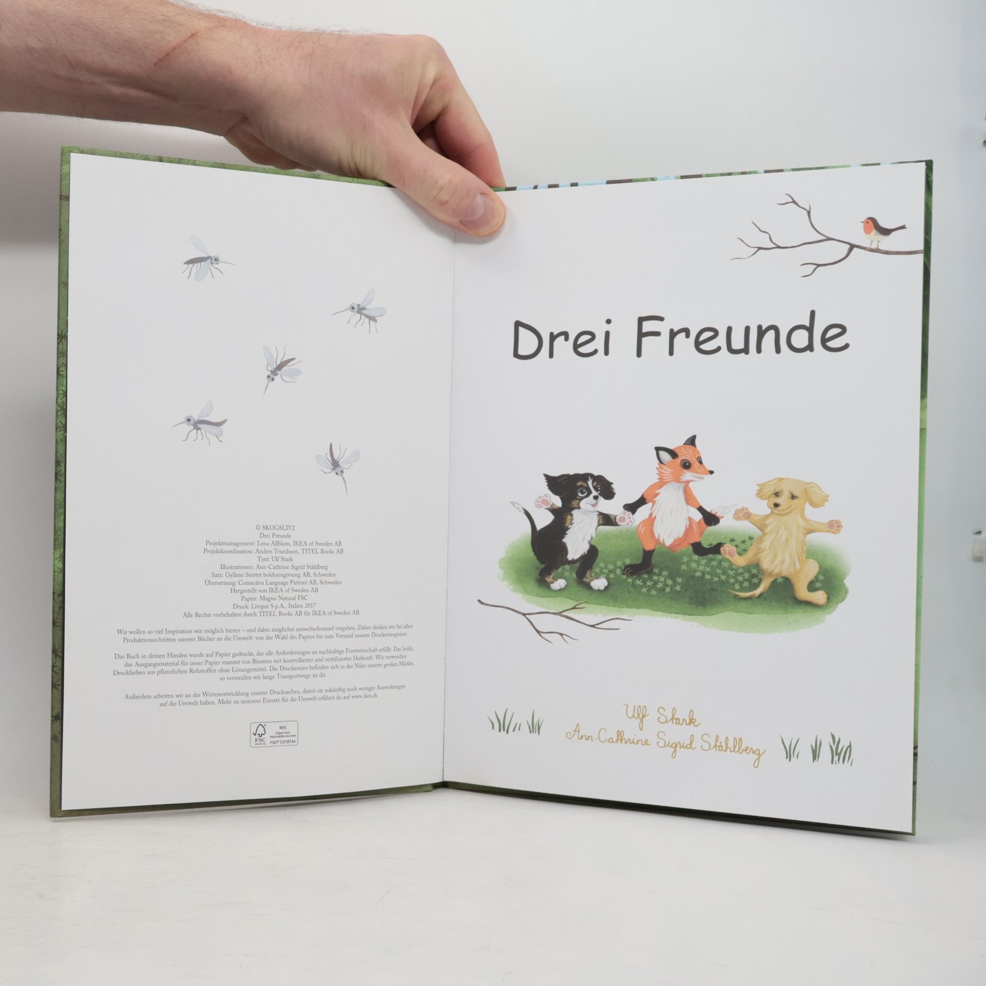 Ulf Stark Drei Freunde
