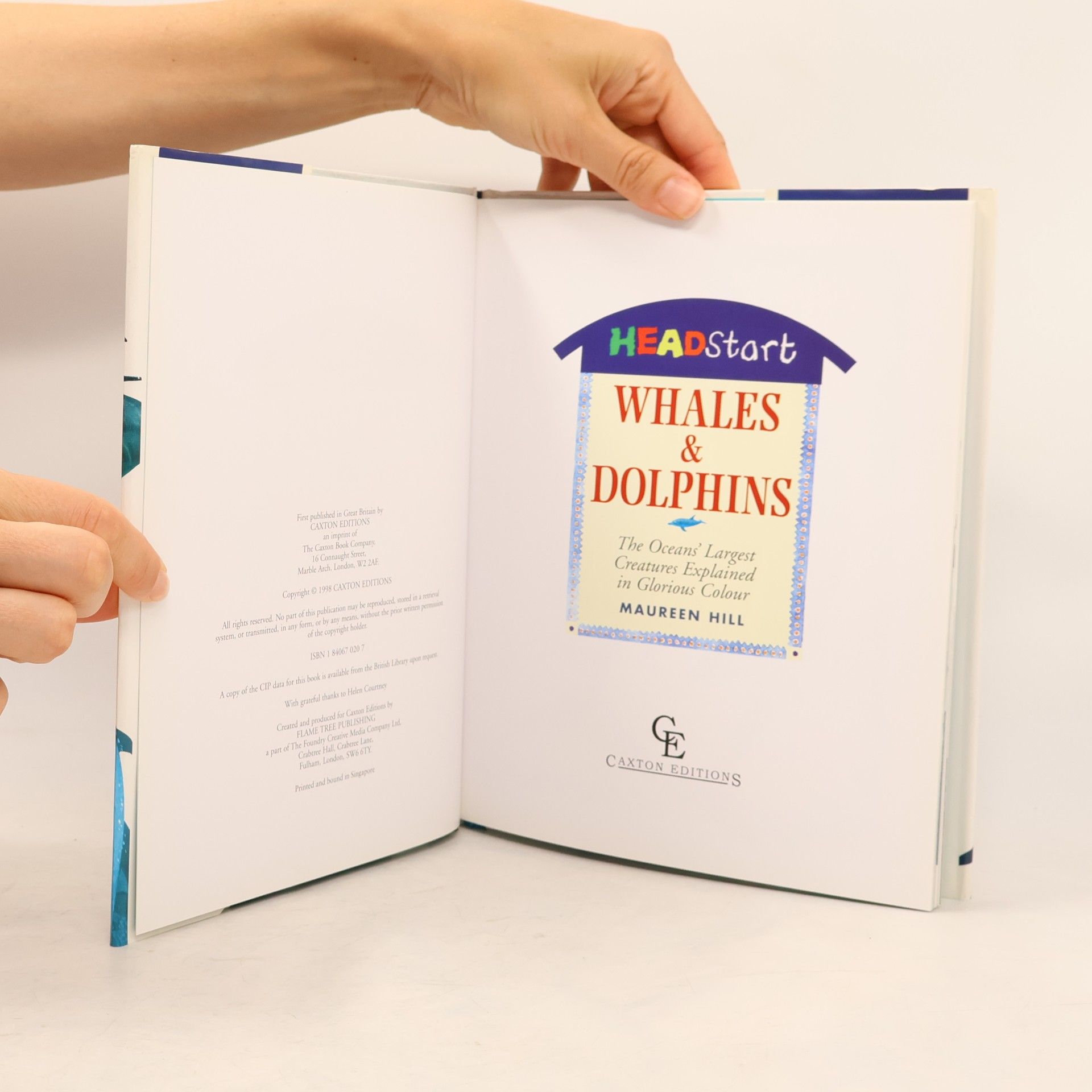 Maureen Hill Headstart: Whales & Dolphins