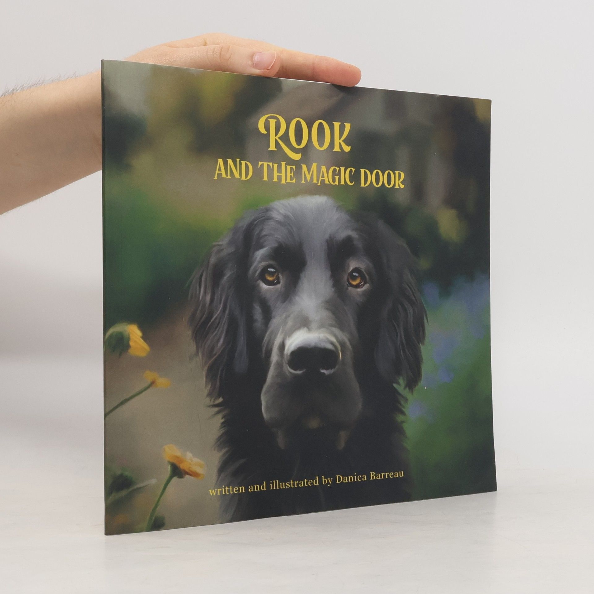 Danica Barreau Rook and the Magic Door