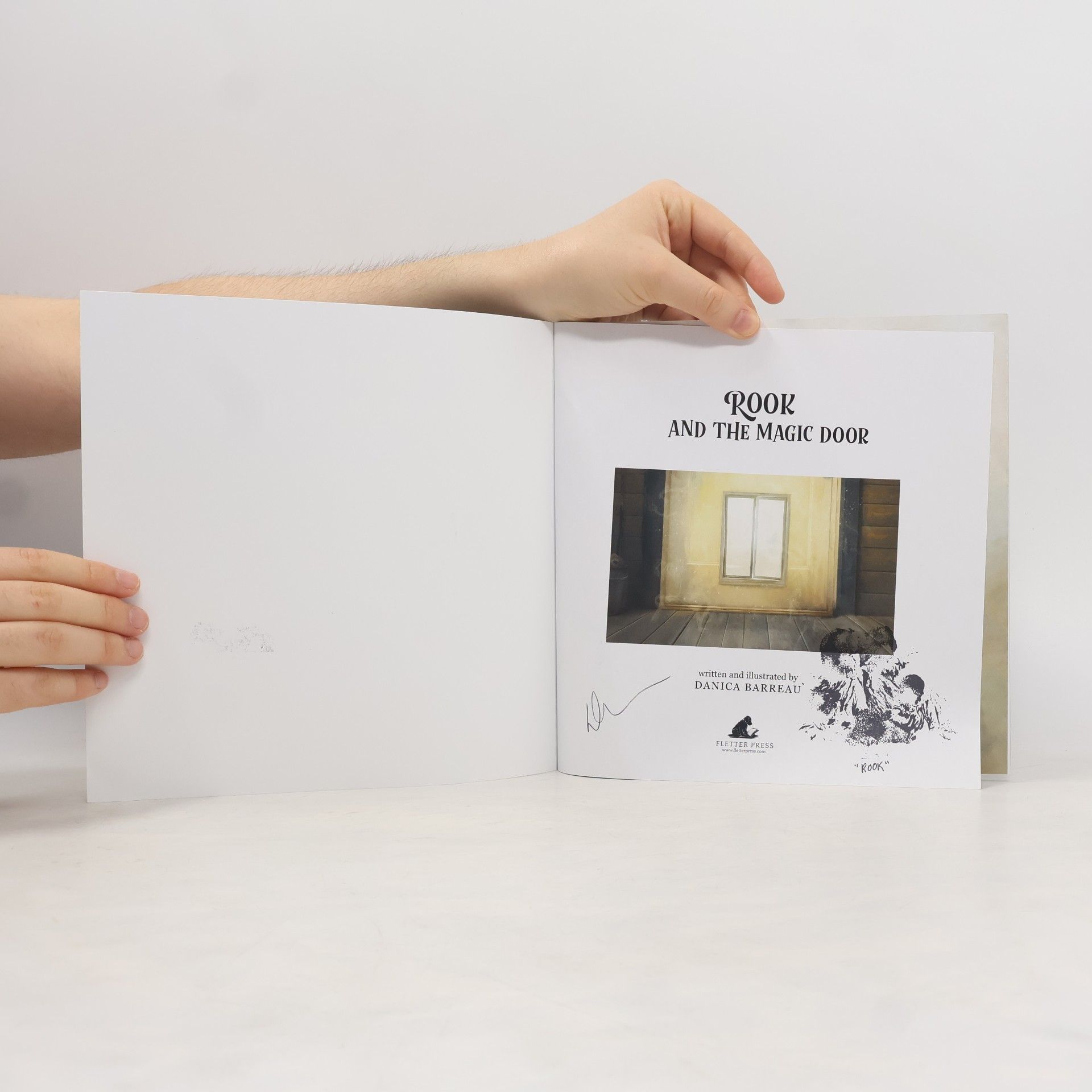 Danica Barreau Rook and the Magic Door