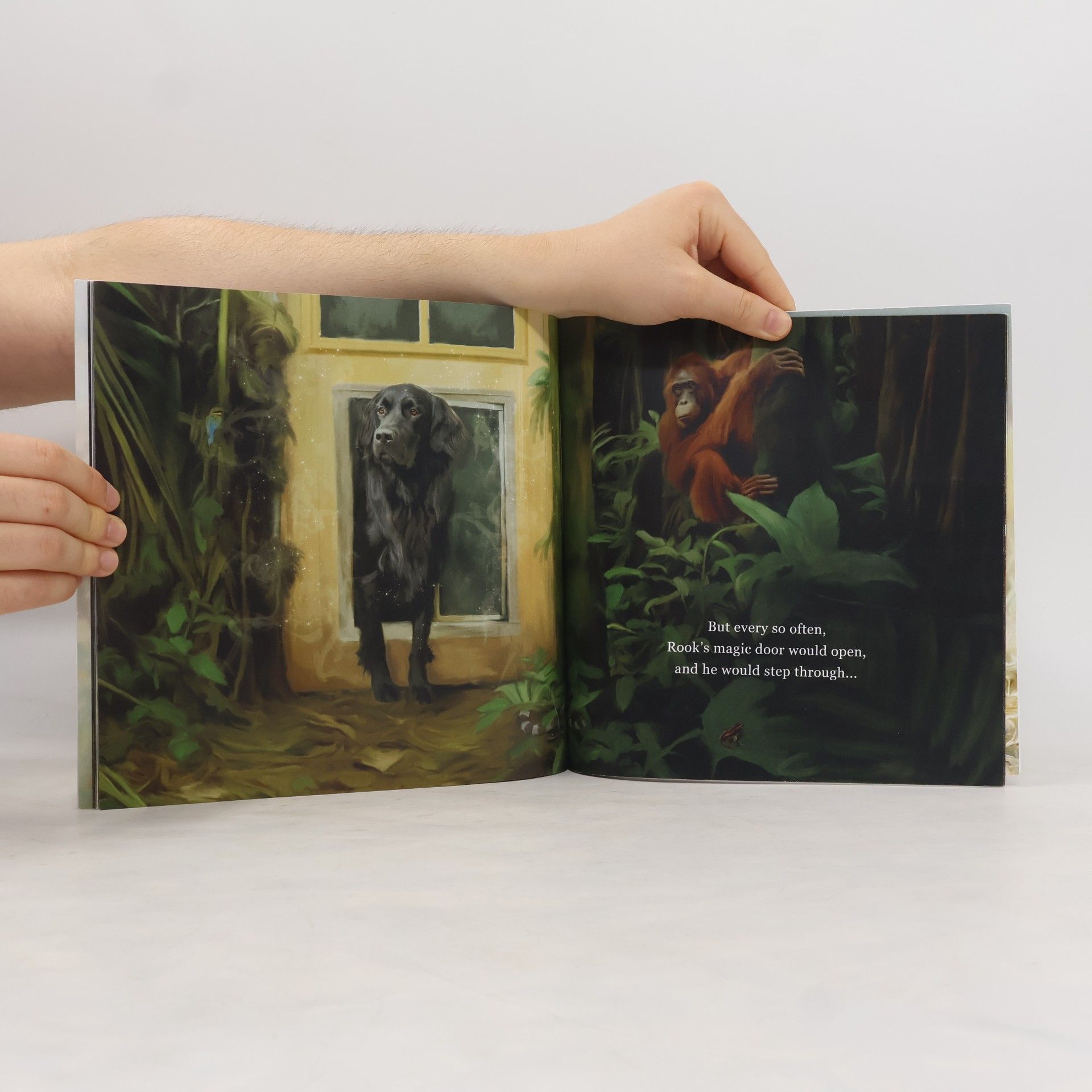 Danica Barreau Rook and the Magic Door