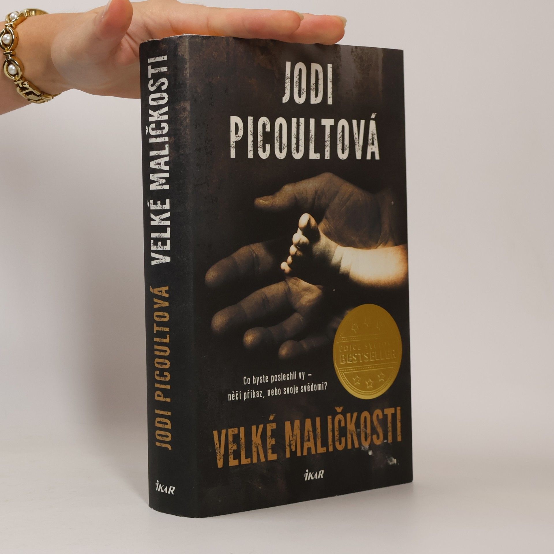 Jodi Picoult Velké maličkosti