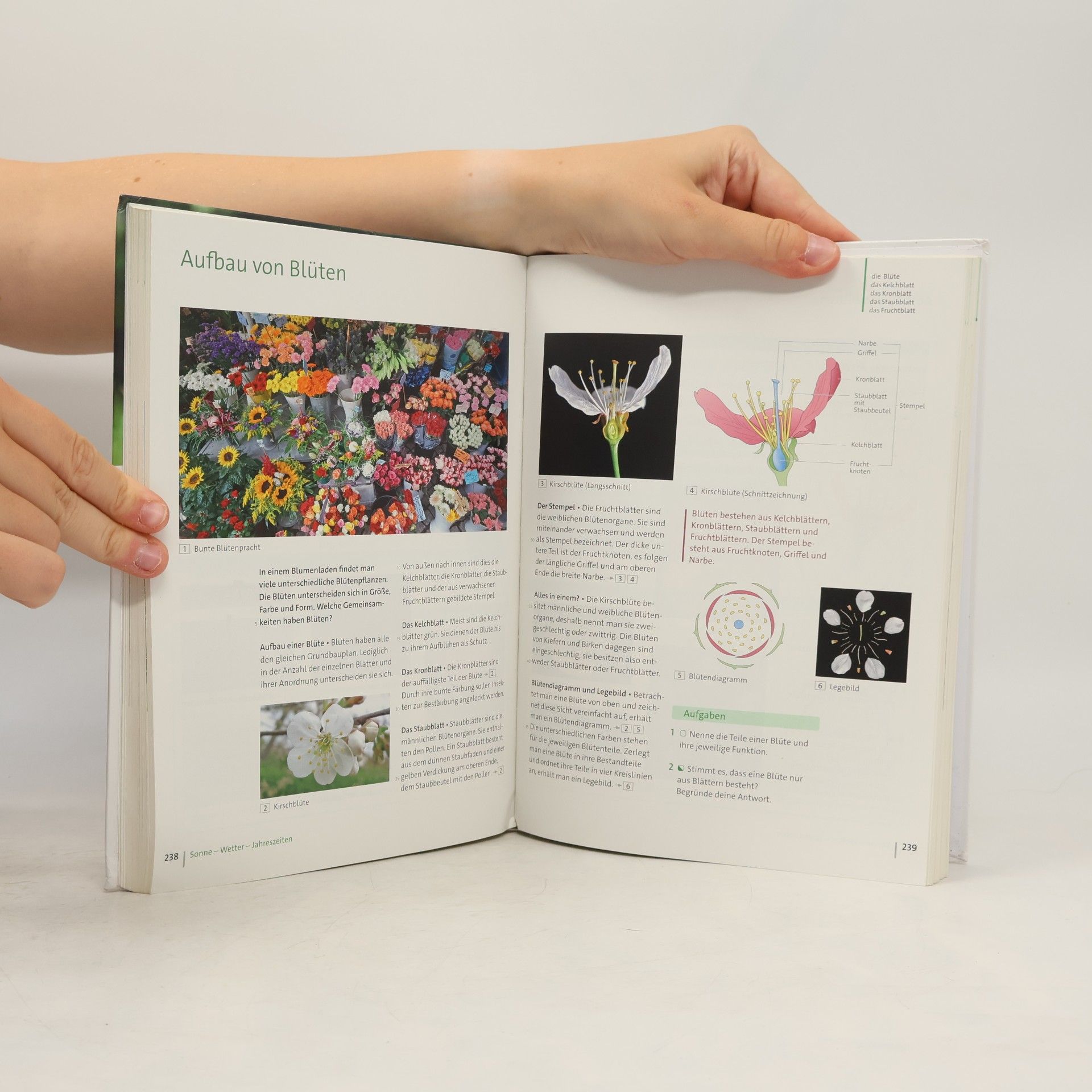 Autorenkollektiv Natur und Technik, Naturwissenschaften