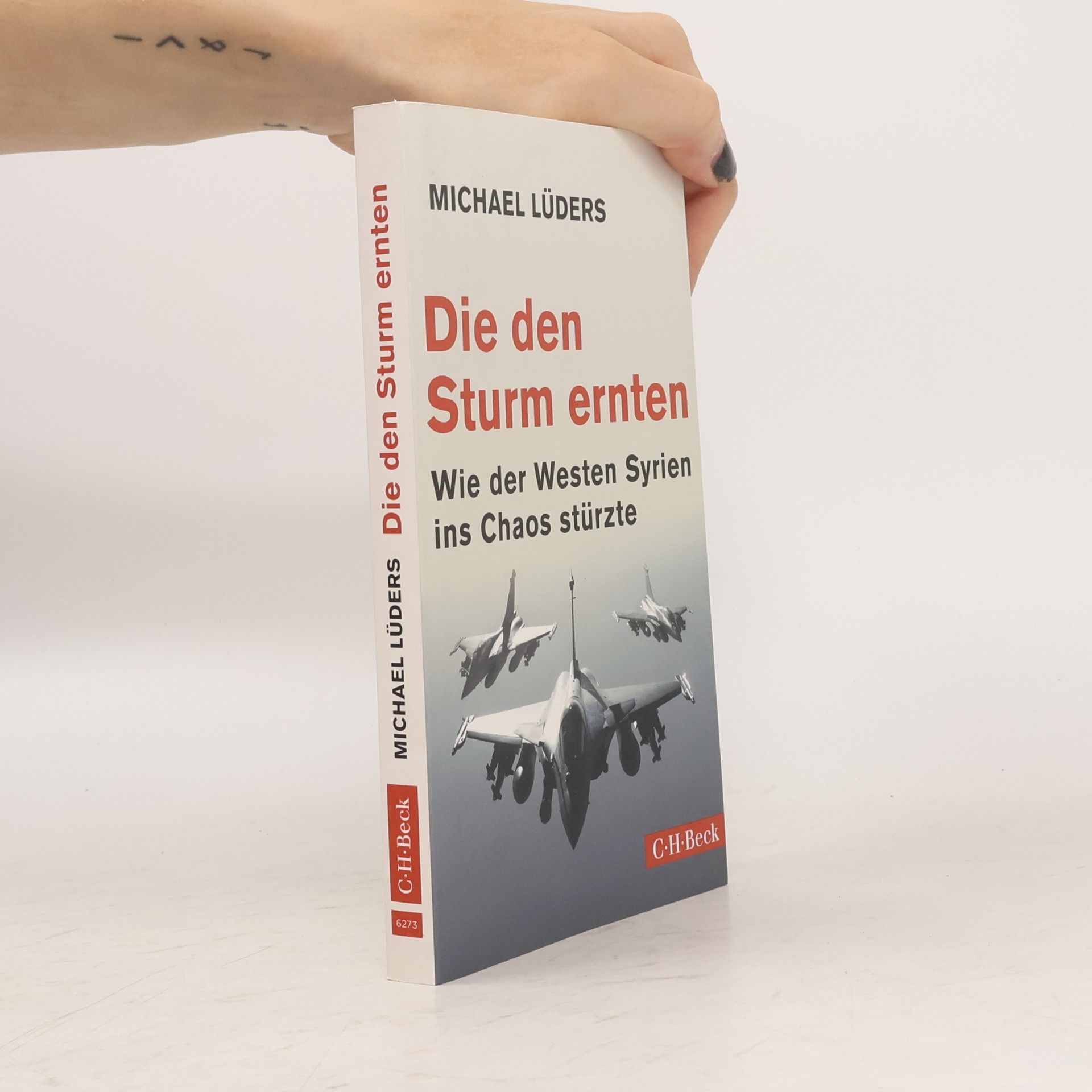 Michael Lüders Die den Sturm ernten