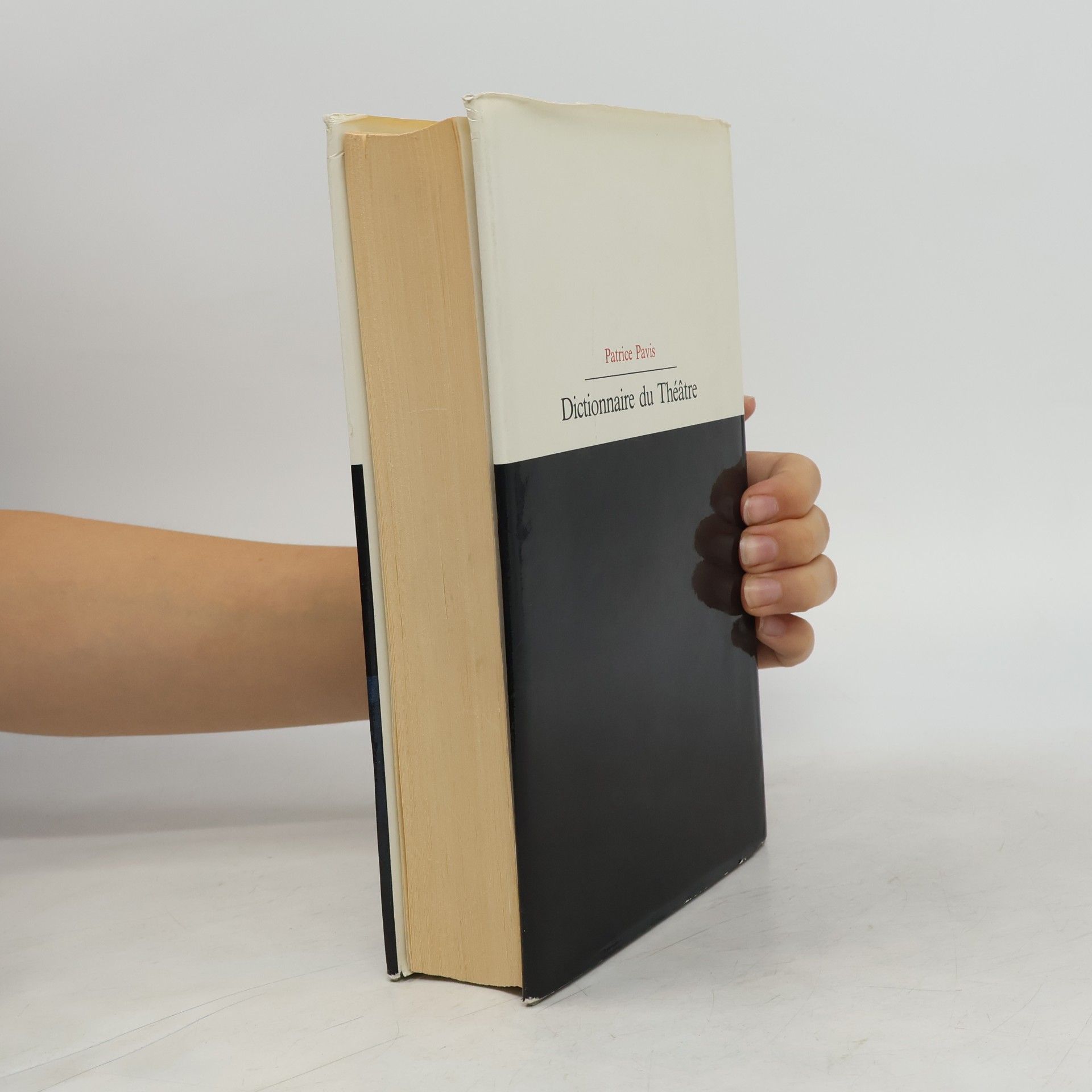 Patrice Pavis Dictionnaire du théâtre