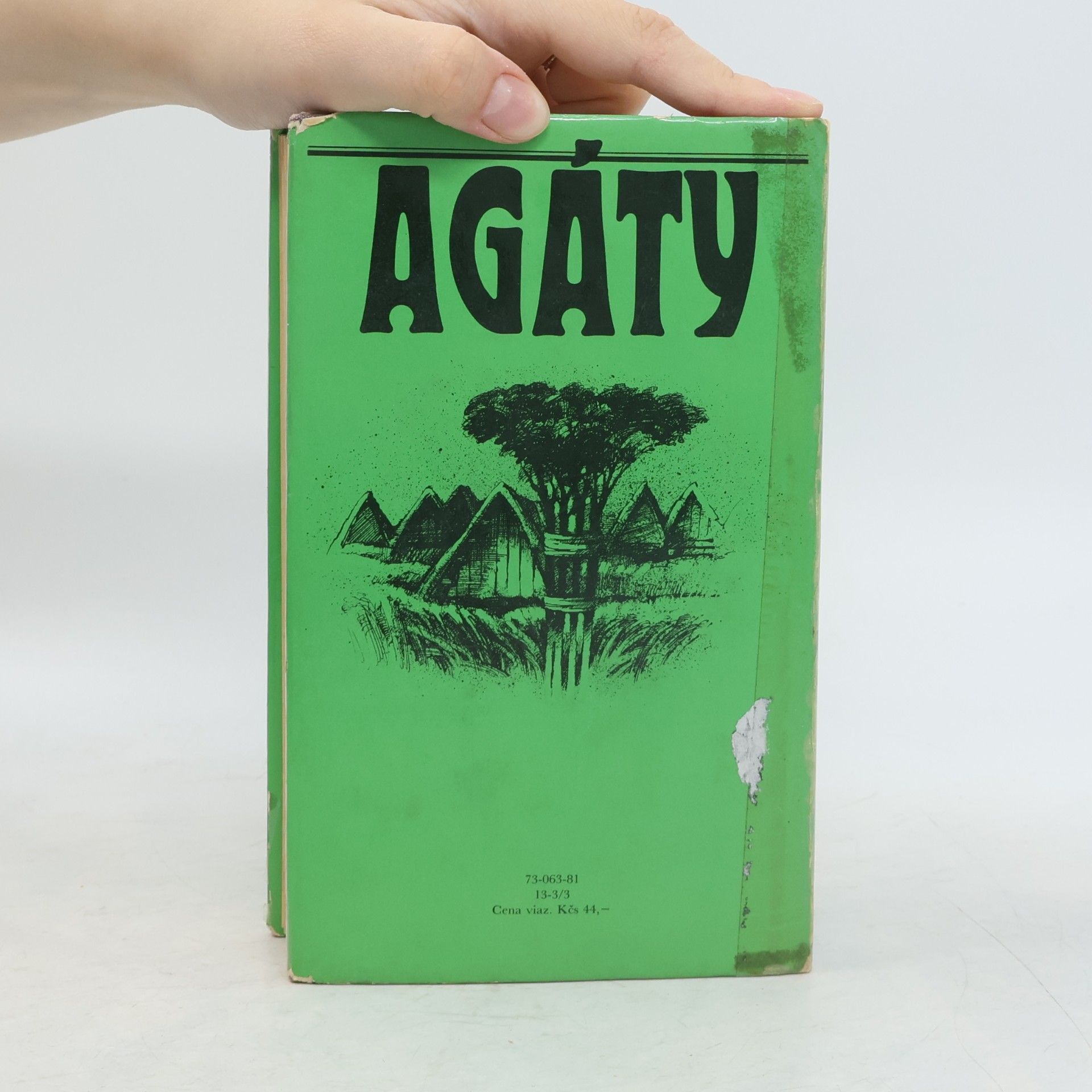 Ladislav Ballek Agáty