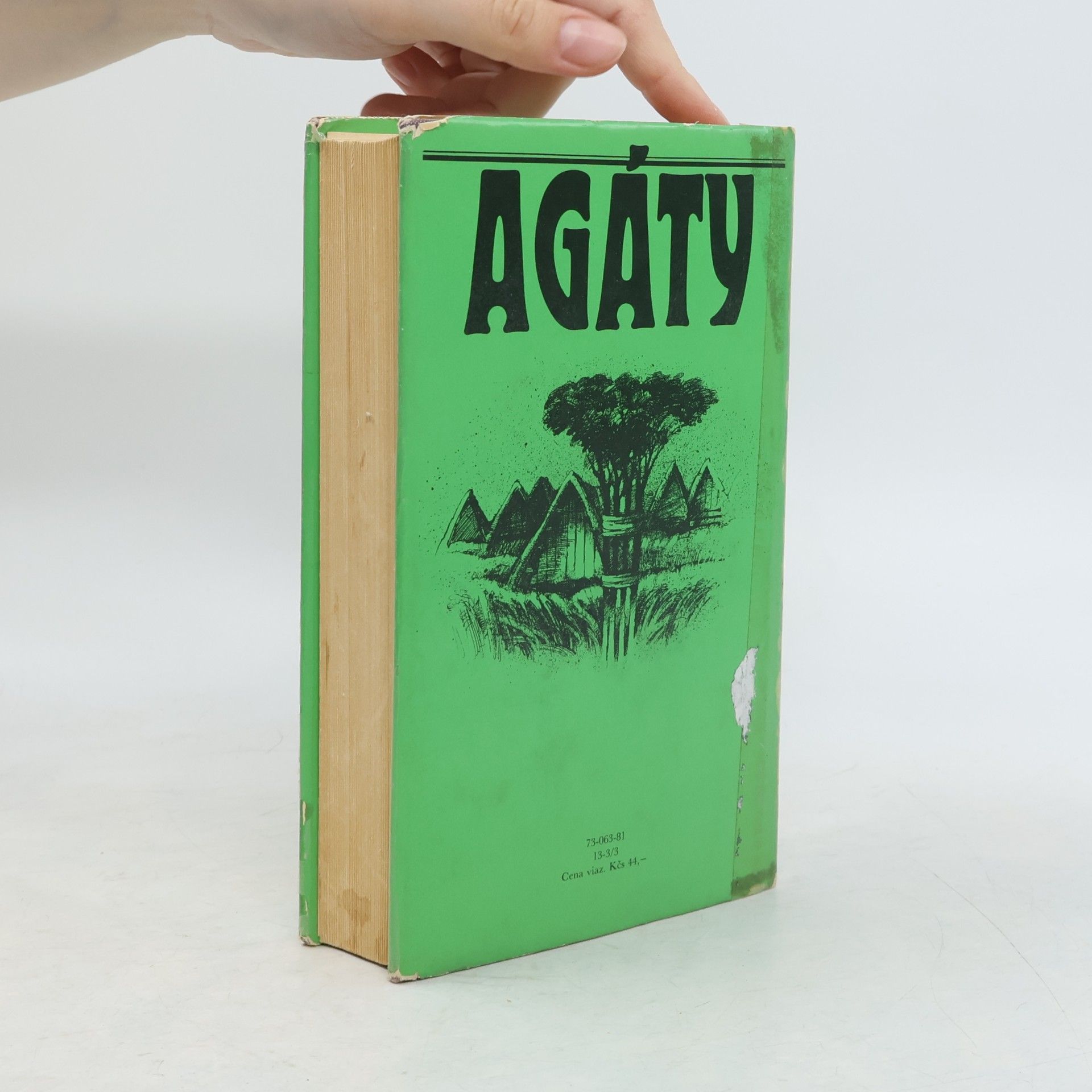 Ladislav Ballek Agáty