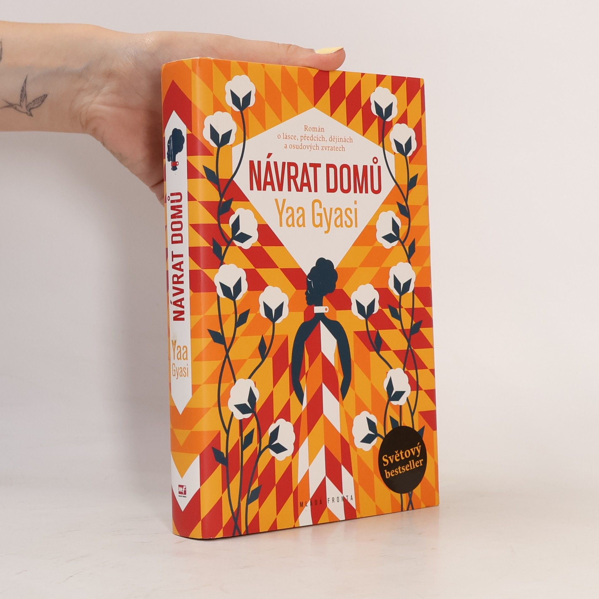 Yaa Gyasi Návrat domů