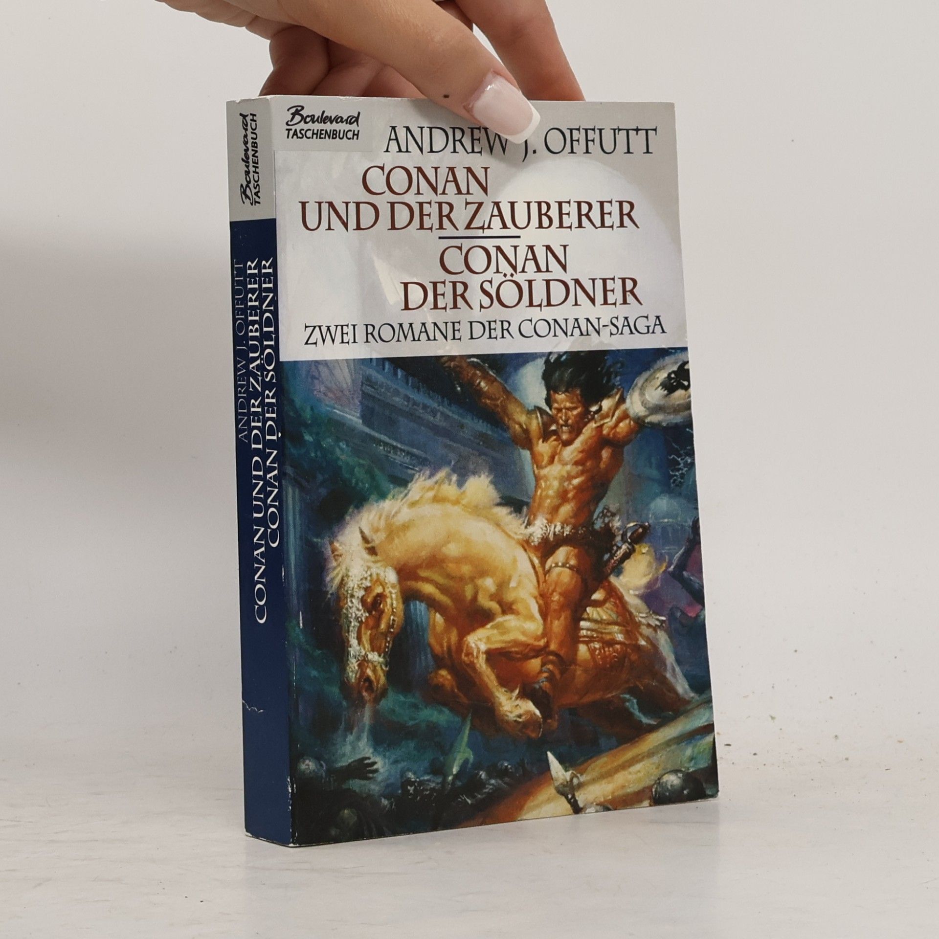 Andrew J. Offutt Conan und der Zauberer. Conan der Söldner