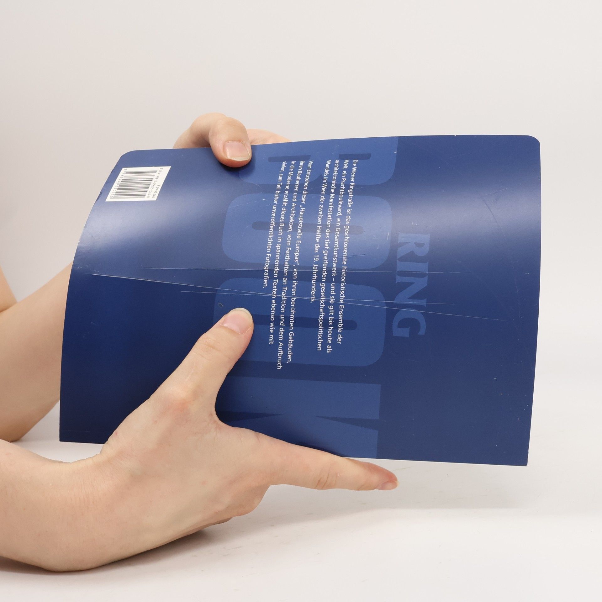 Barbara Sternthal Ring Book - Wiens Prachtboulevard als Gesamtkunstwerk