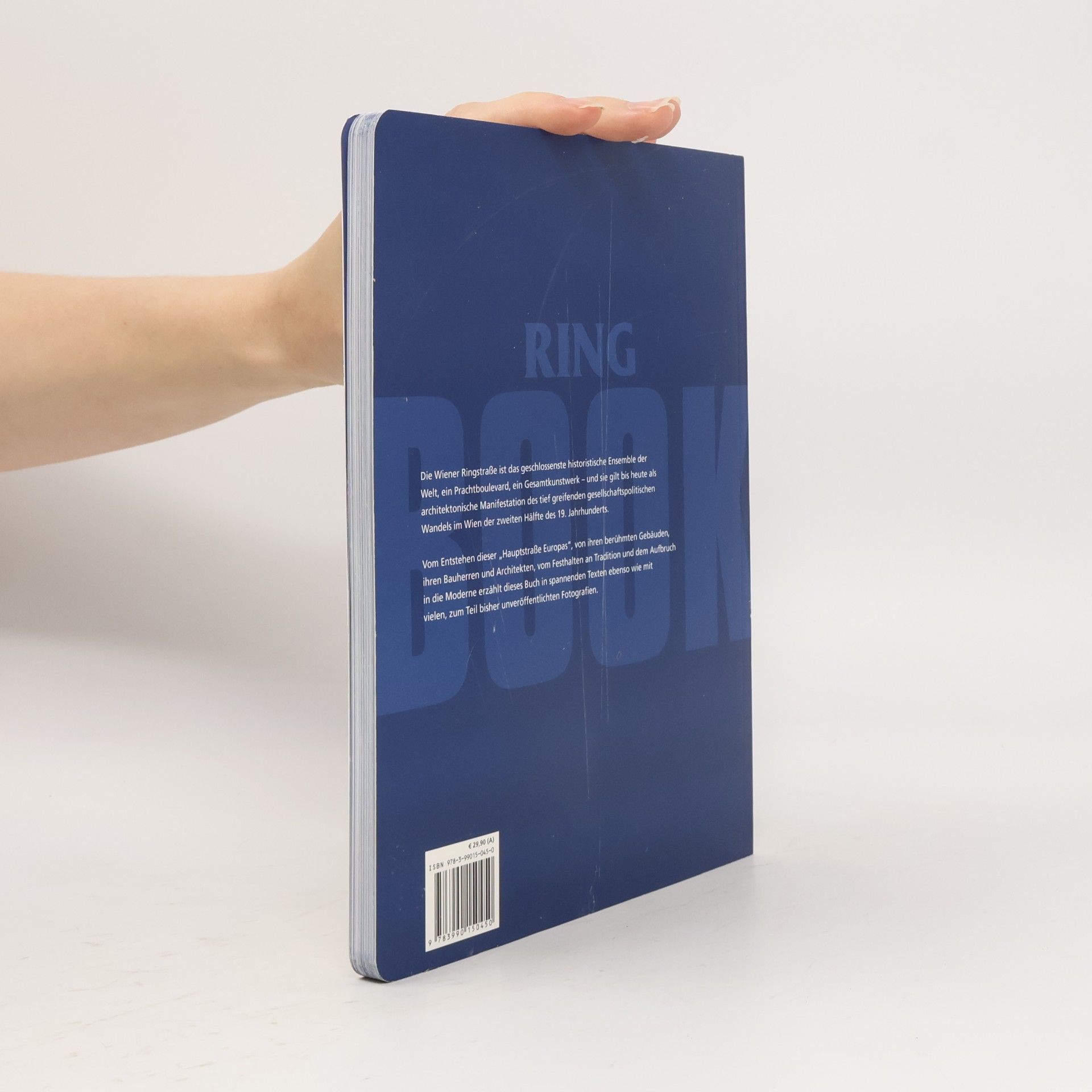 Barbara Sternthal Ring Book - Wiens Prachtboulevard als Gesamtkunstwerk