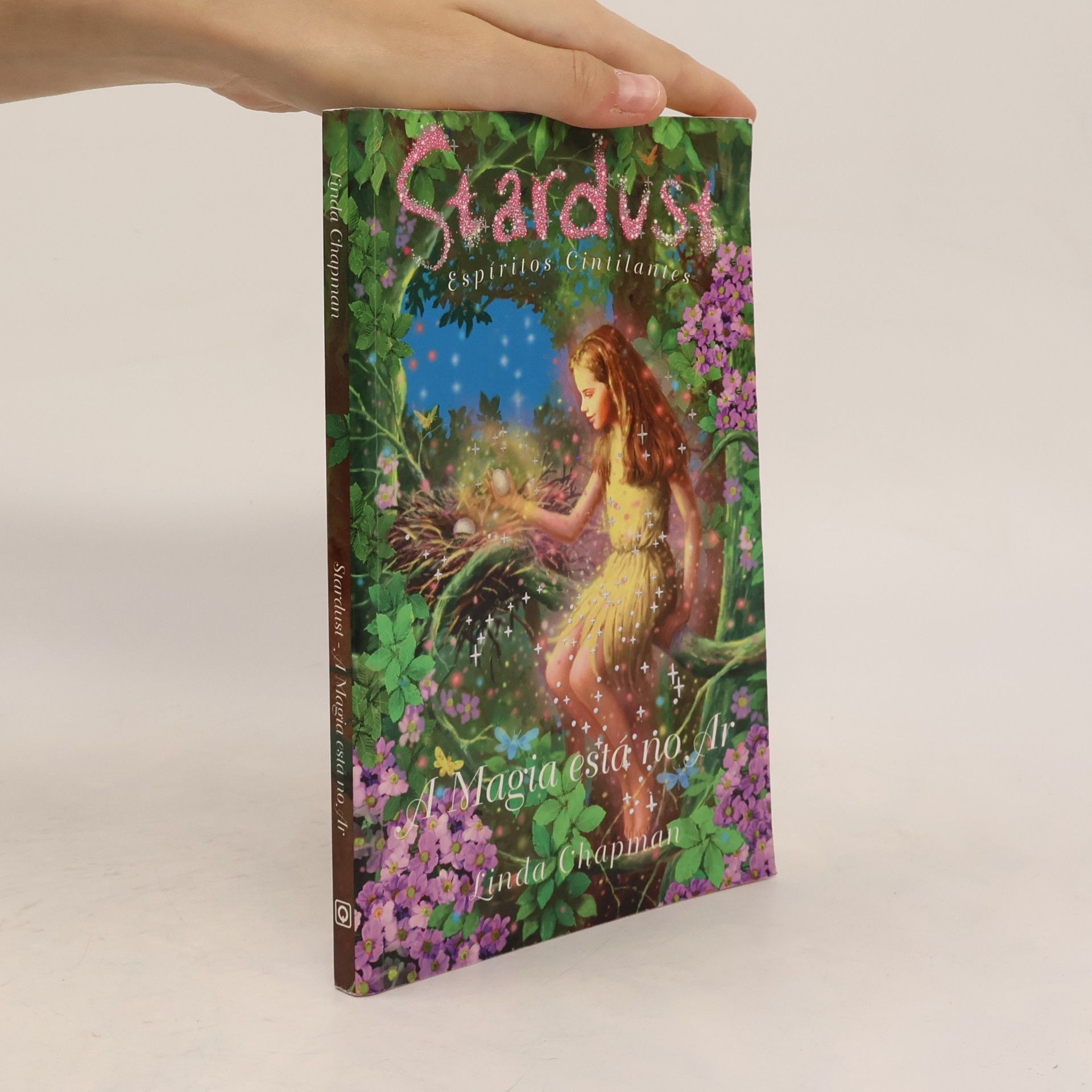 Linda Champan Stardust: Espíritos cintilantes: A magia está no ar