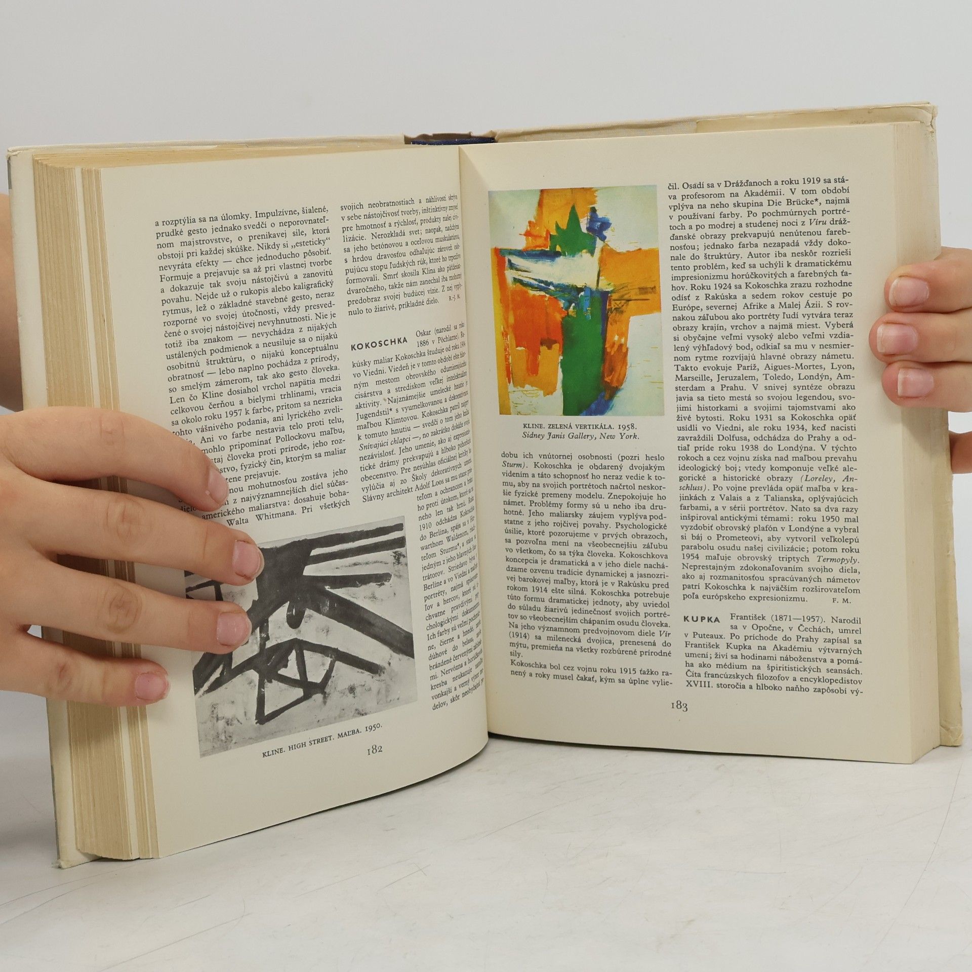 Various authors Lexikon moderného maliarstva