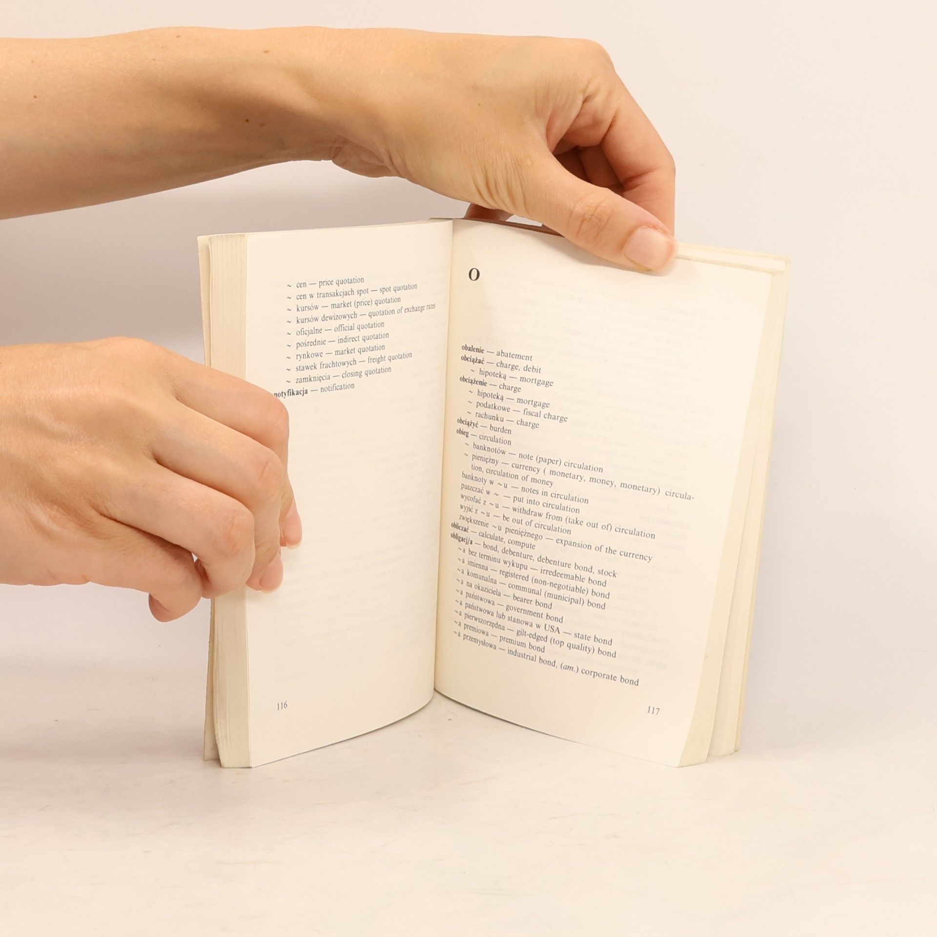 Monika Woytowicz-Neymann Pocket Business Dictionary