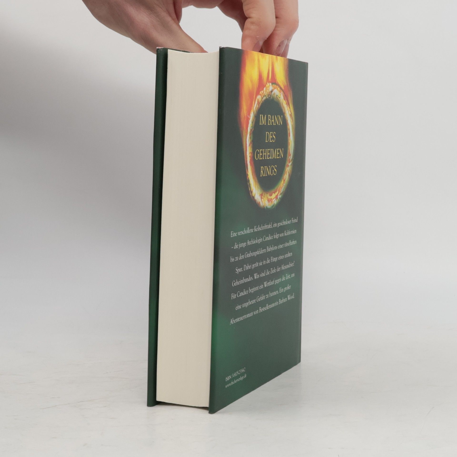 Barbara Wood Spur der Flammen