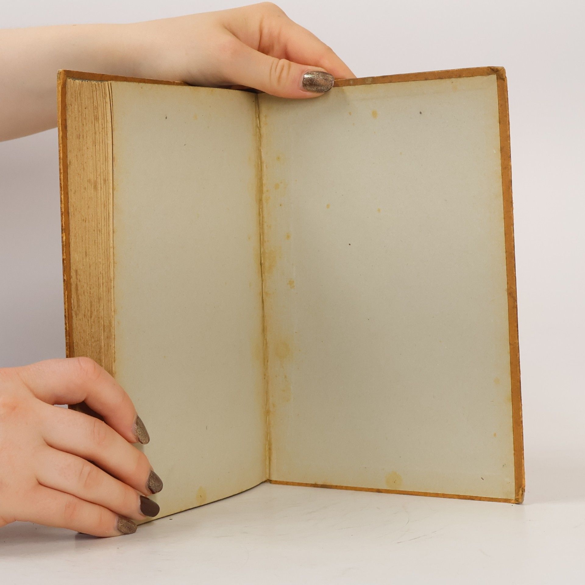 Fritz Peter Seitz Das Bastelbuch : ein Wegweiser für jung und alt in Handfertigkeit, Spiel und Arbeit. 2. Jhrg.