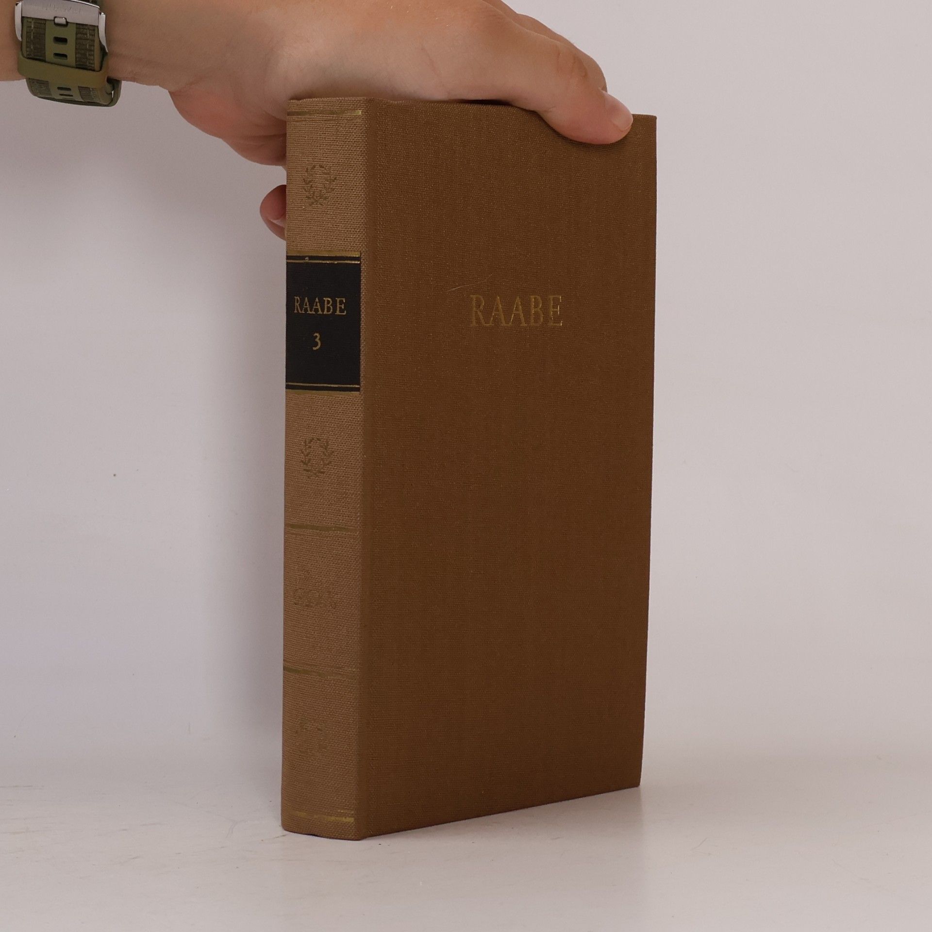 Autorenkollektiv Raabe 3