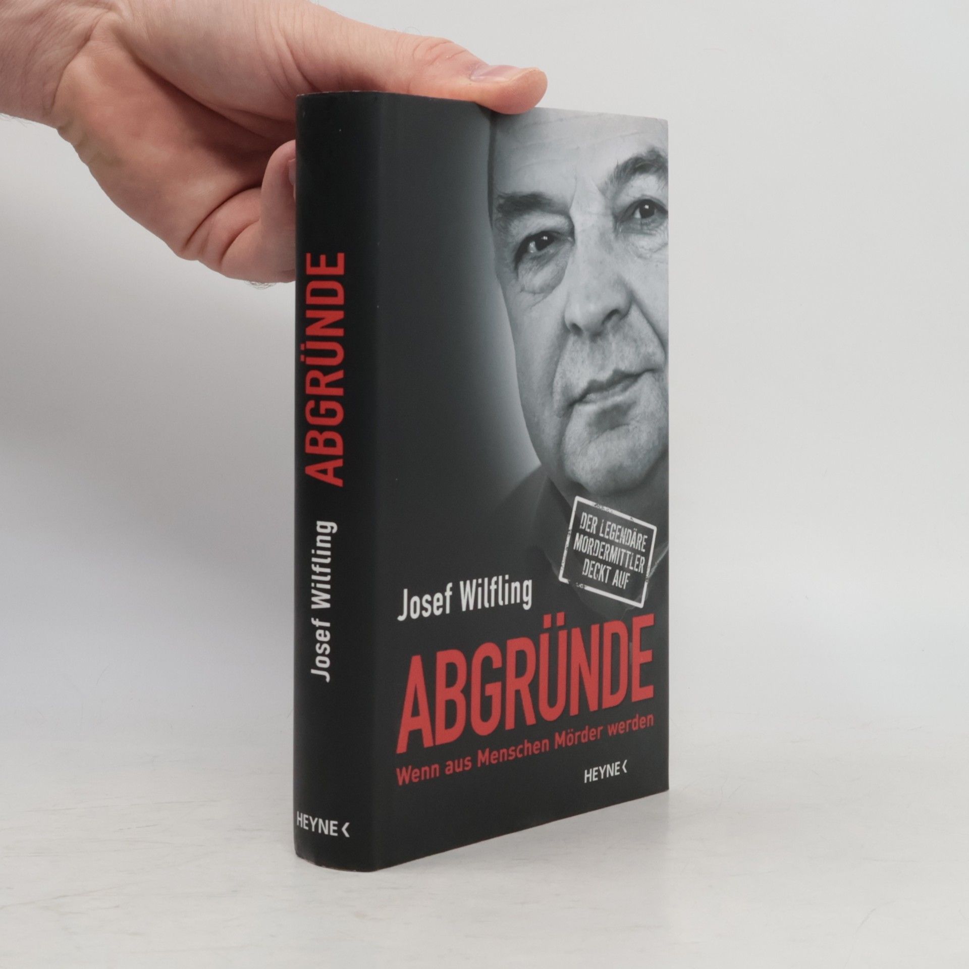 Josef Wilfling Abgründe