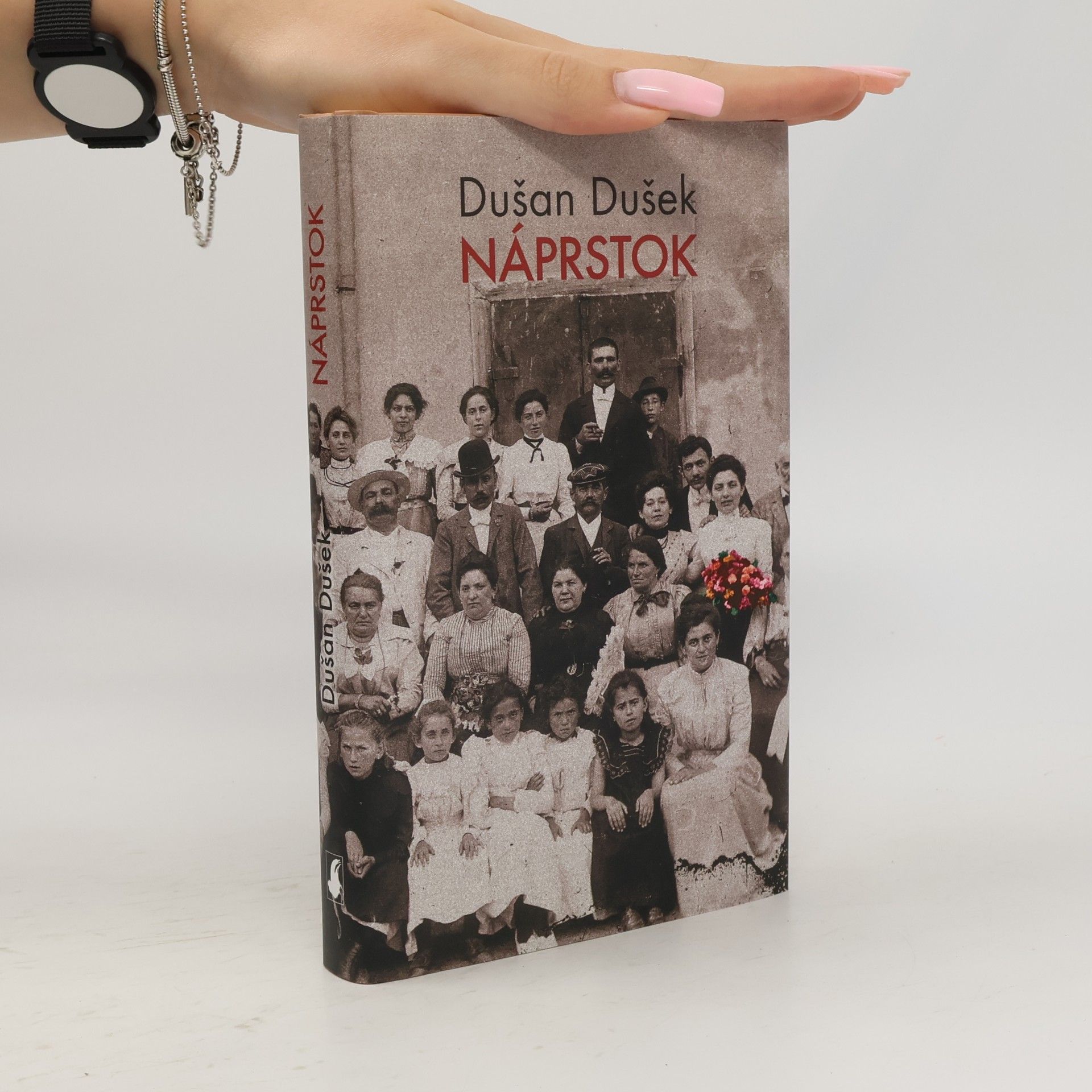Dušan Dušek Náprstok