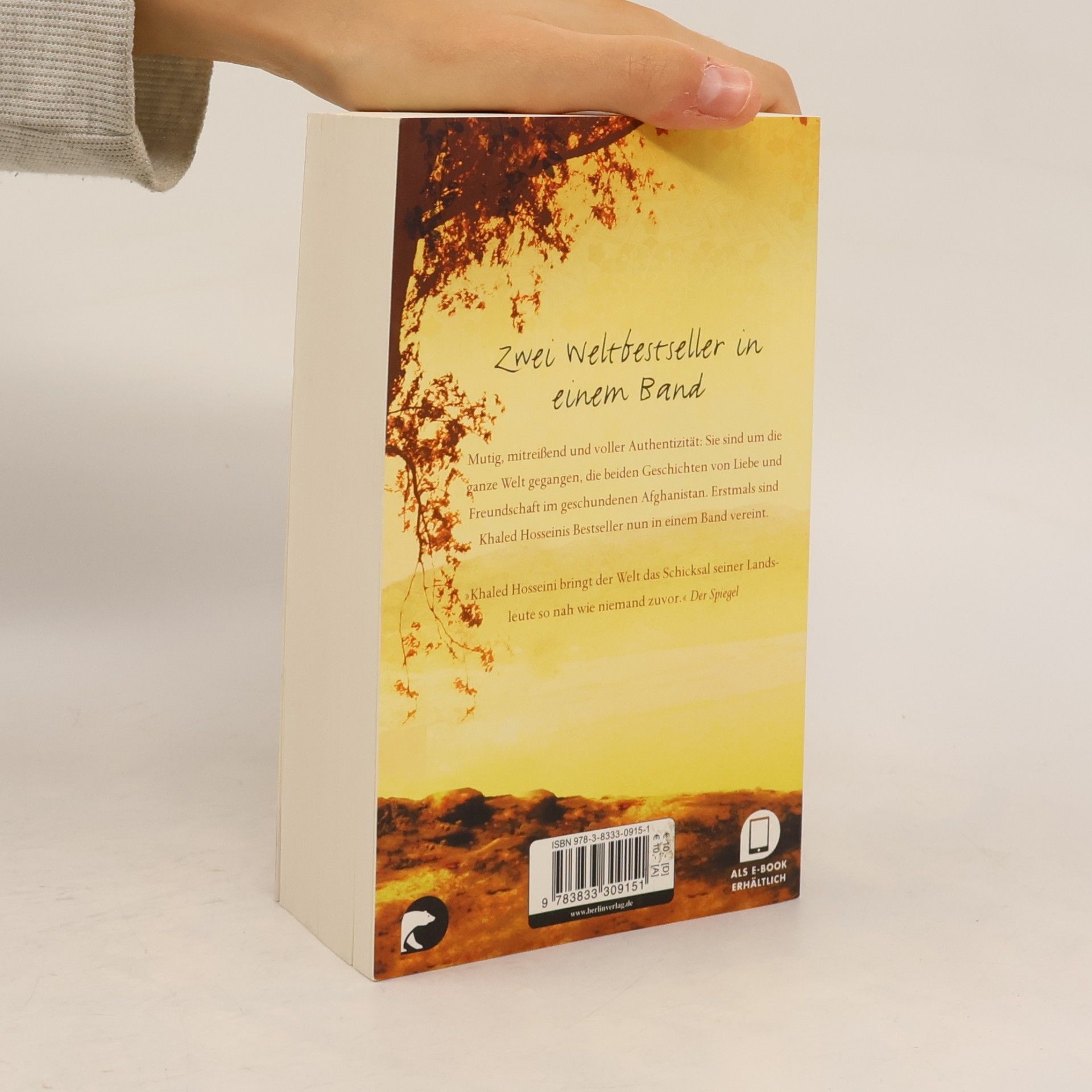 Khaled Hosseini Drachenläufer