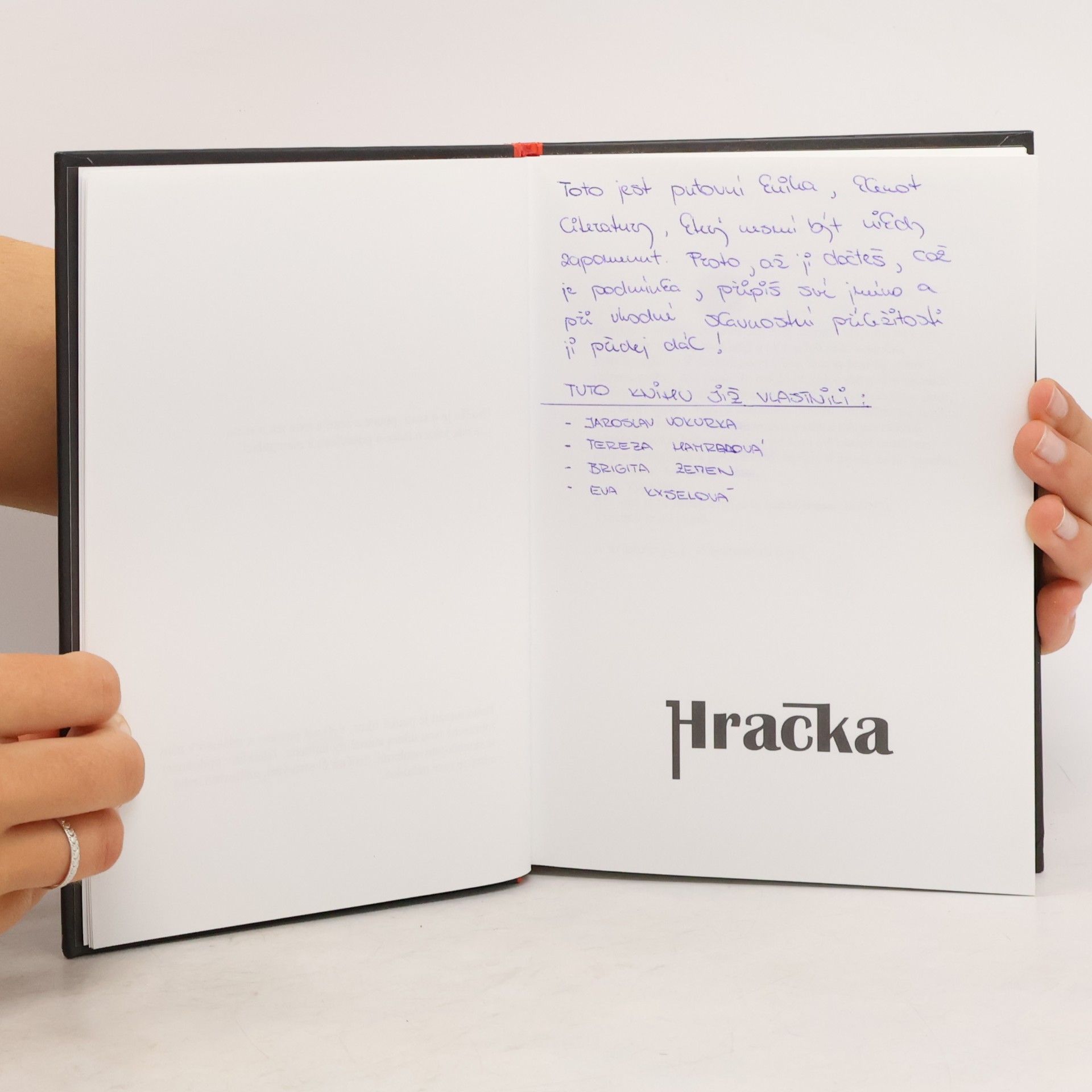 Sylva Lauerová Hračka
