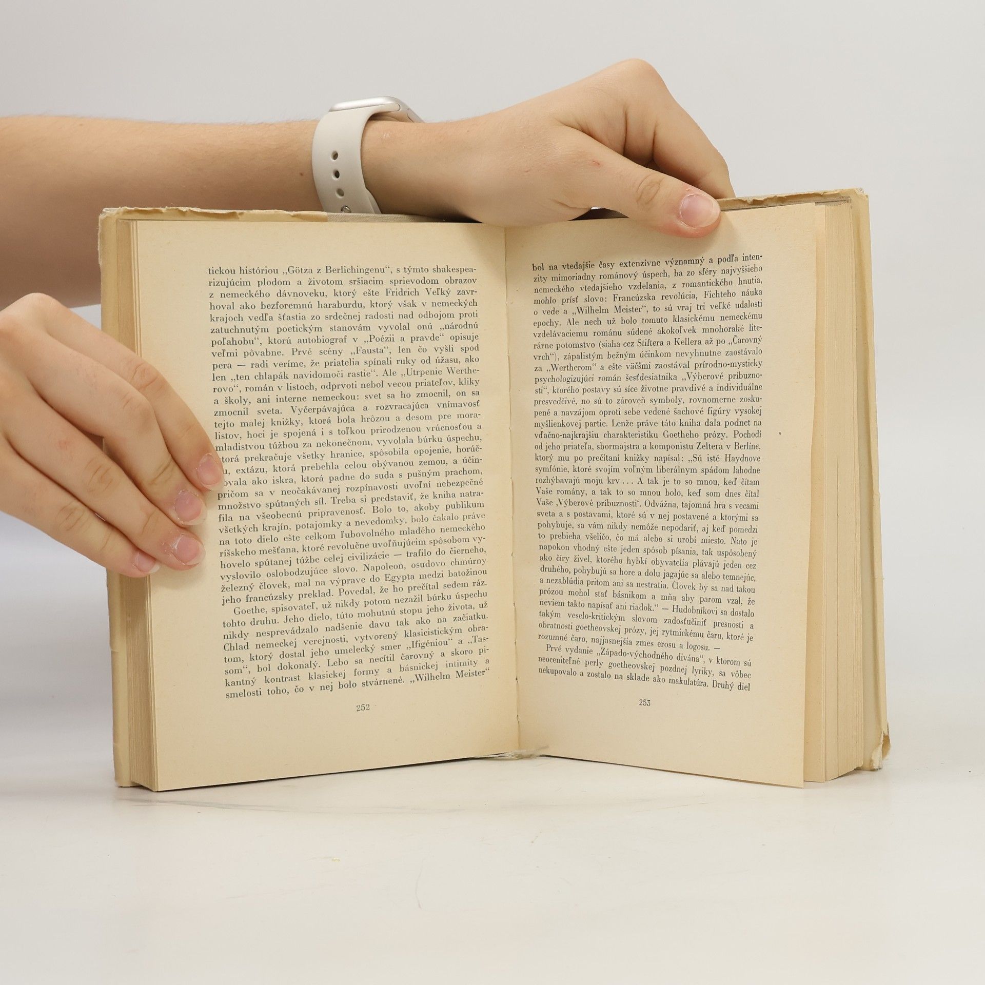 Thomas Mann Sila a sláva literatúry