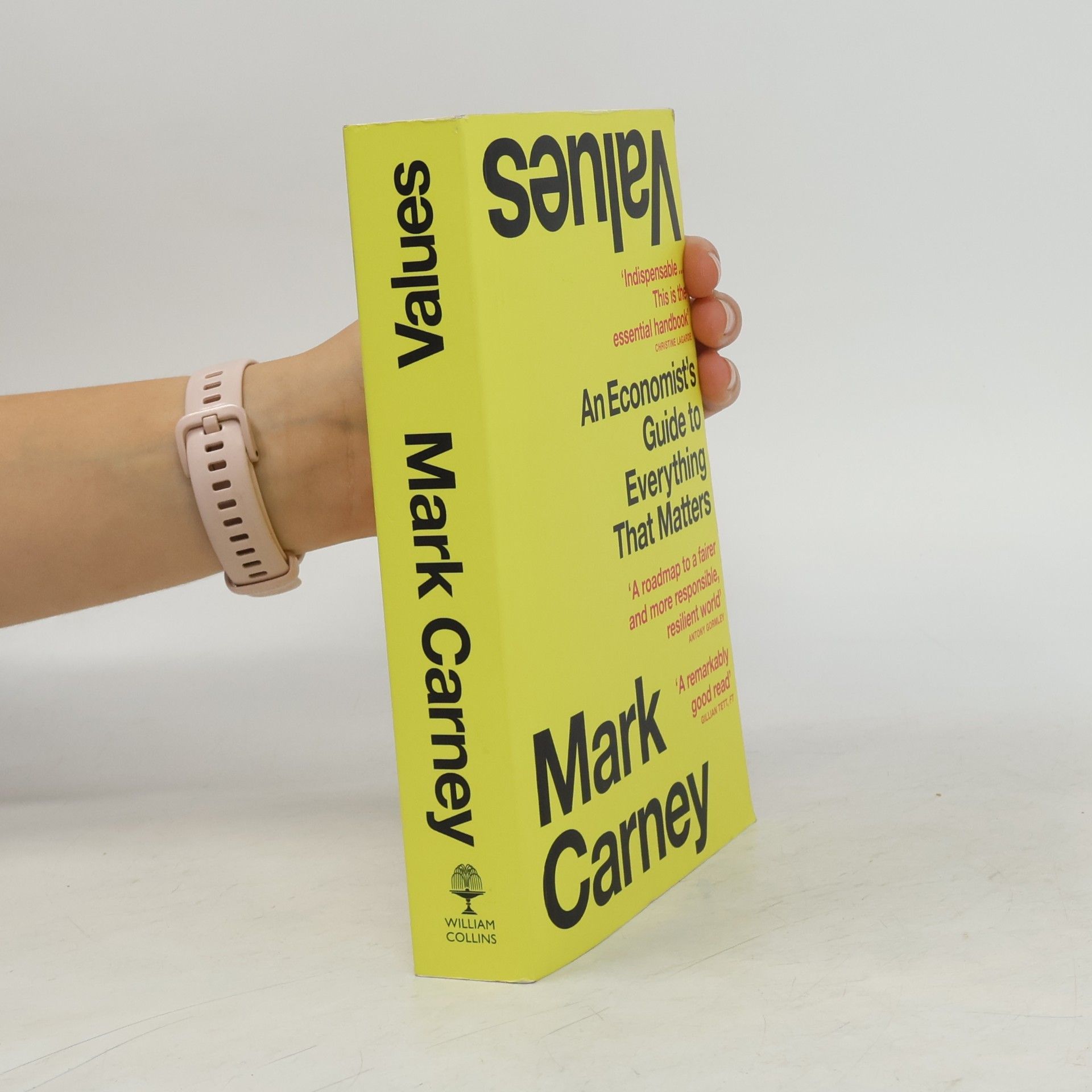 Mark Carney Values