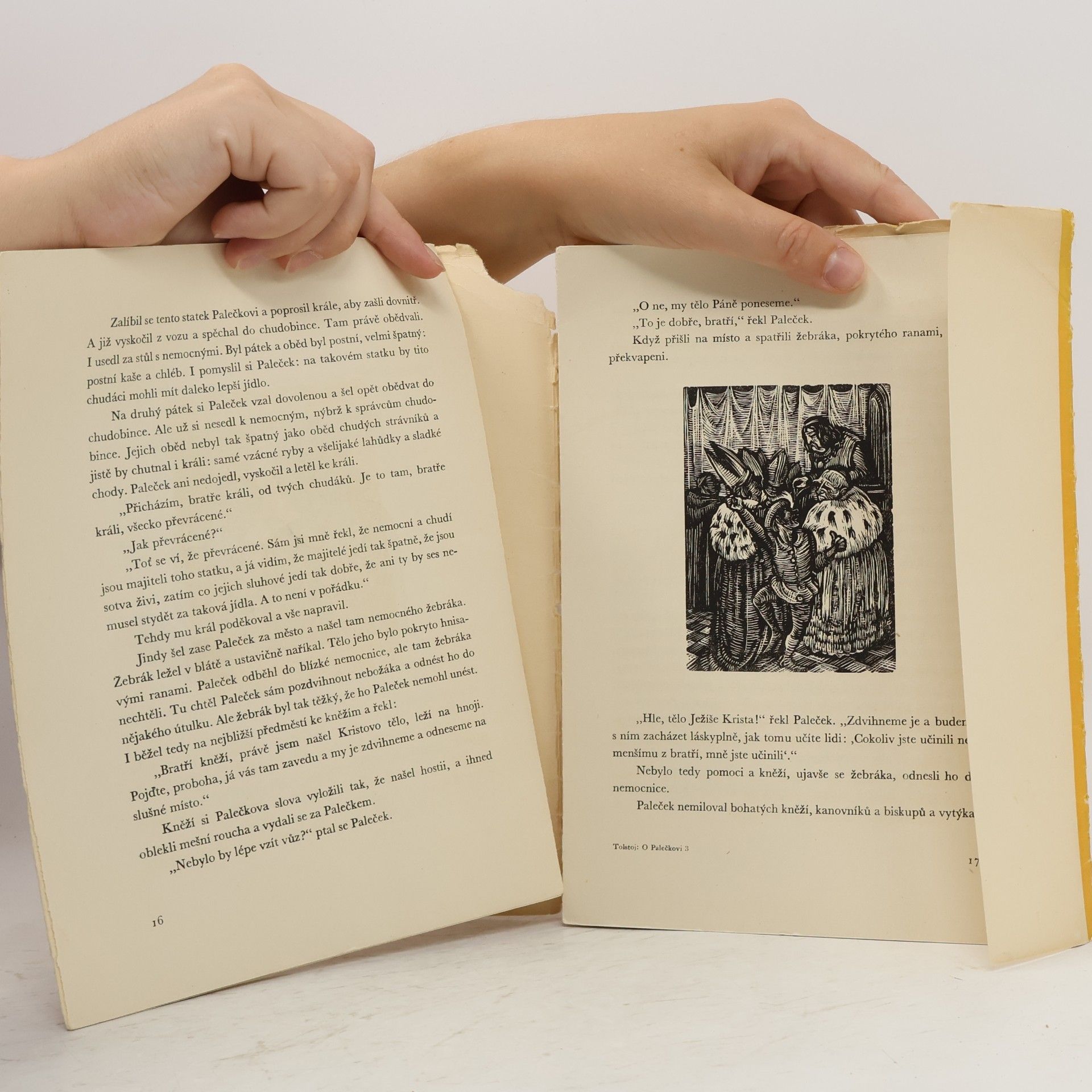 Lew Nikolajewitsch Tolstoi O bratru Palečkovi