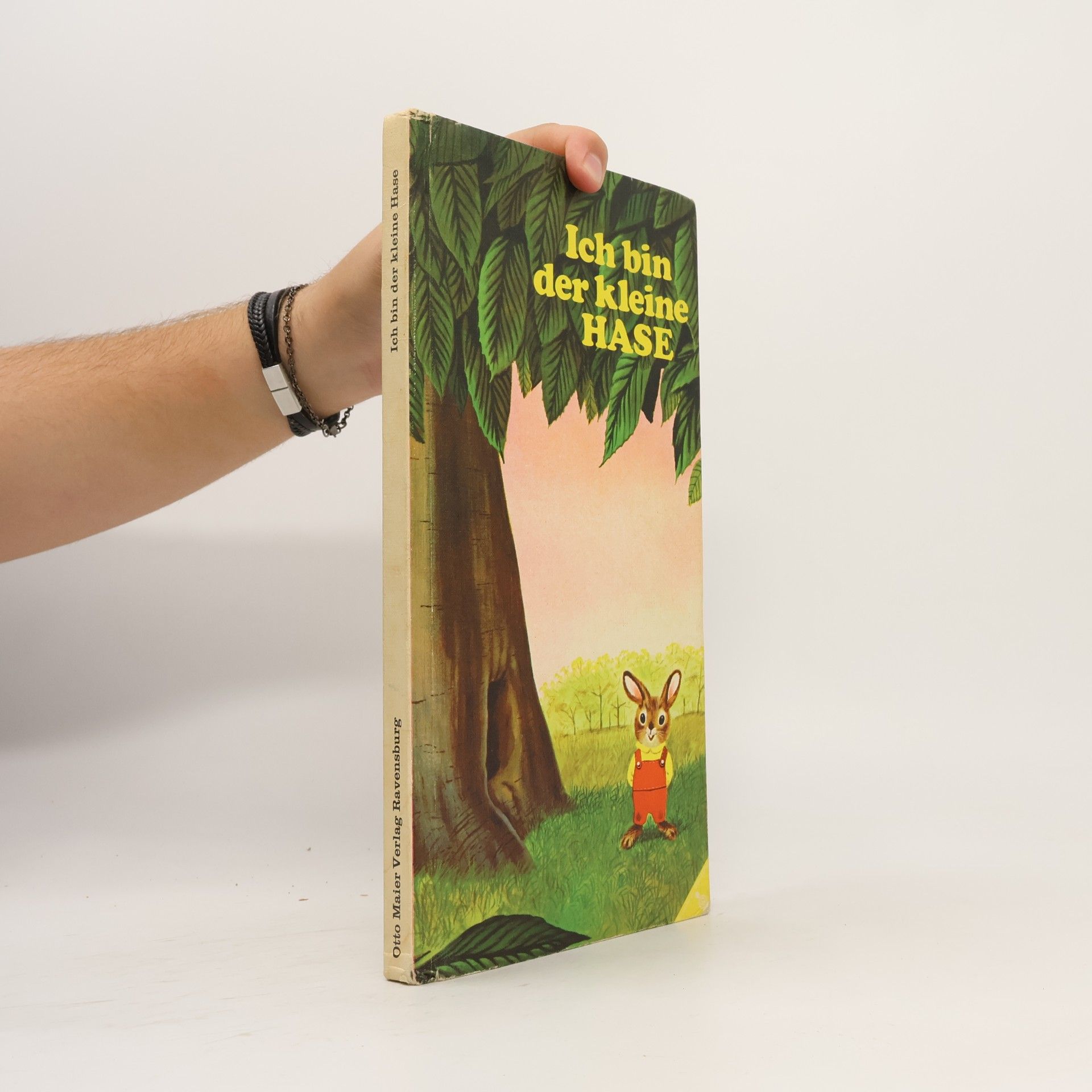 Autorenkollektiv Ich bin der kleine Hase