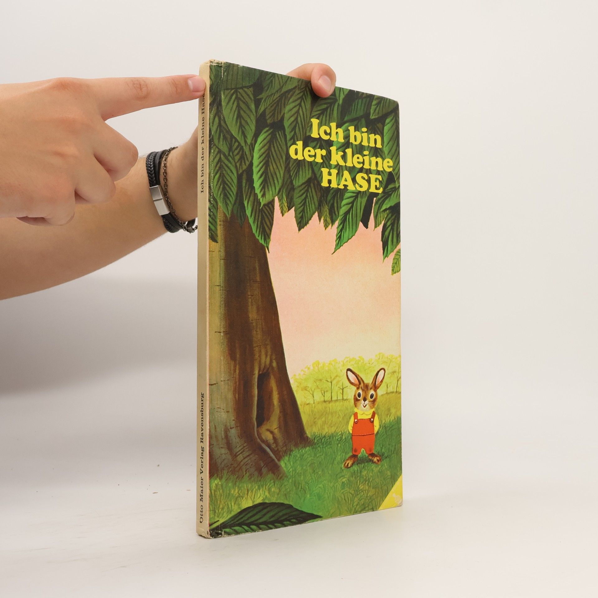 Autorenkollektiv Ich bin der kleine Hase