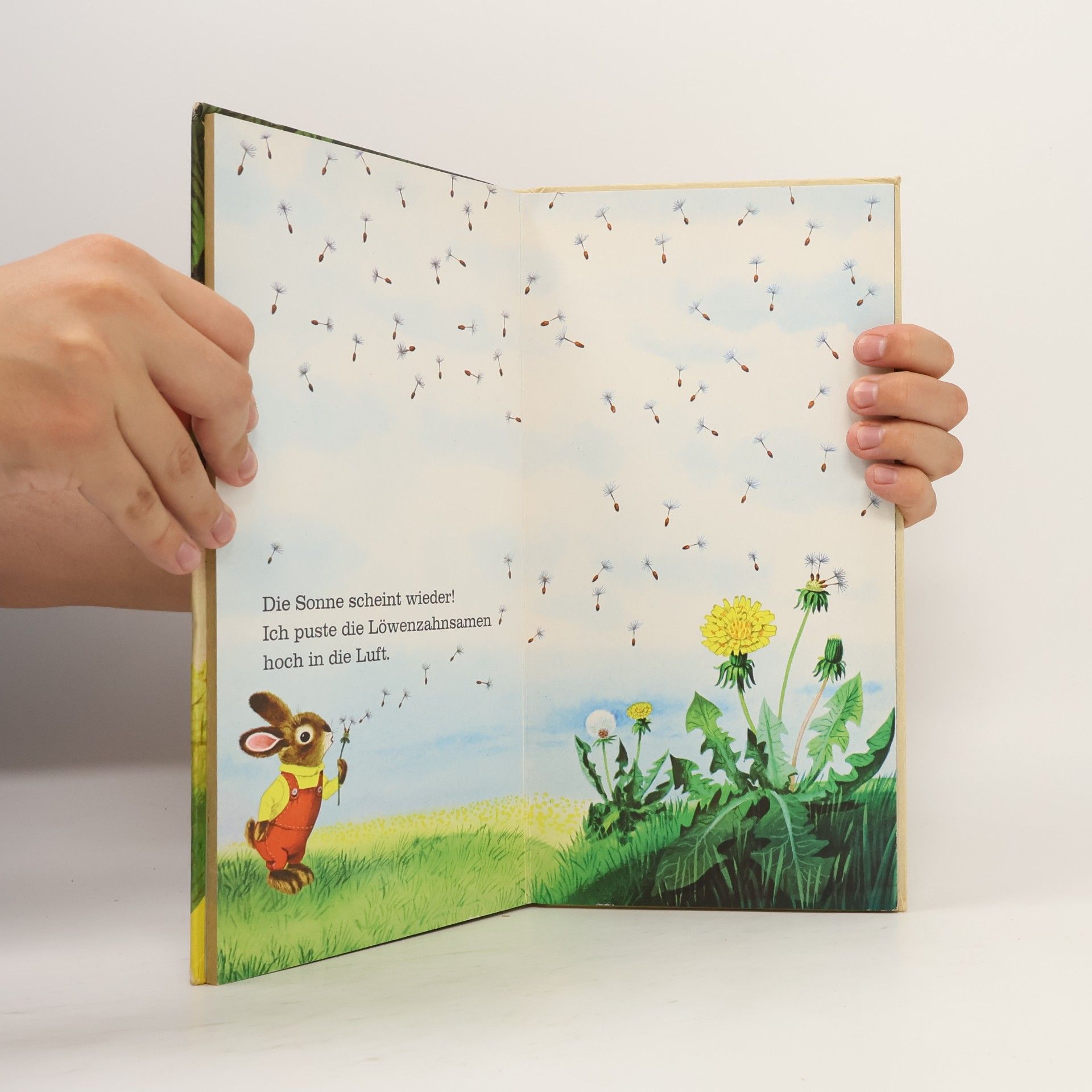 Autorenkollektiv Ich bin der kleine Hase