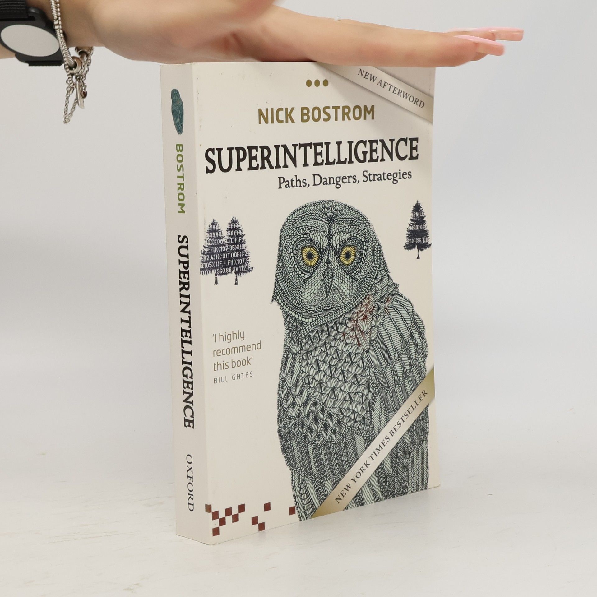 Nick Bostrom Superintelligence