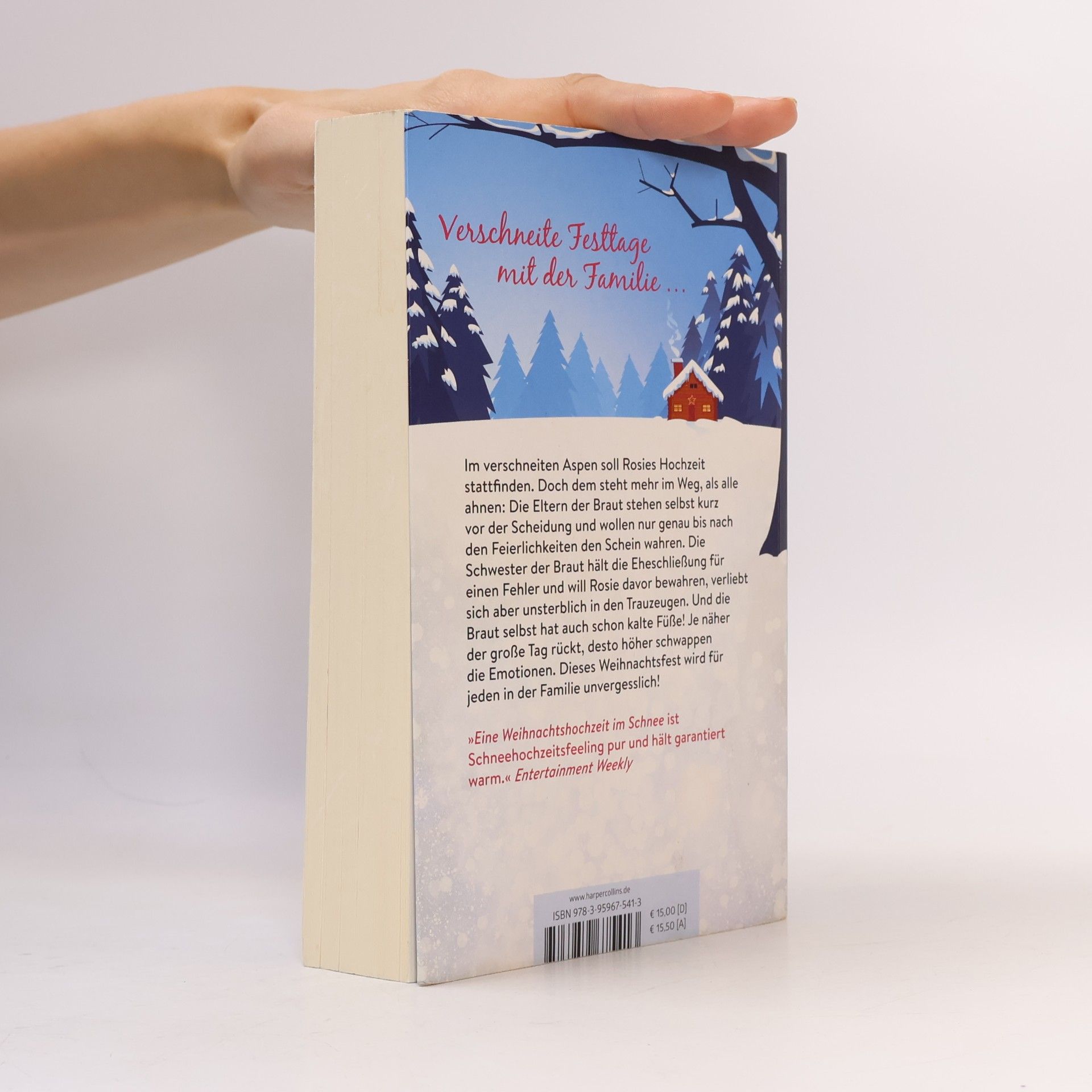Sarah Morgan Eine Weihnachtshochzeit im Schnee