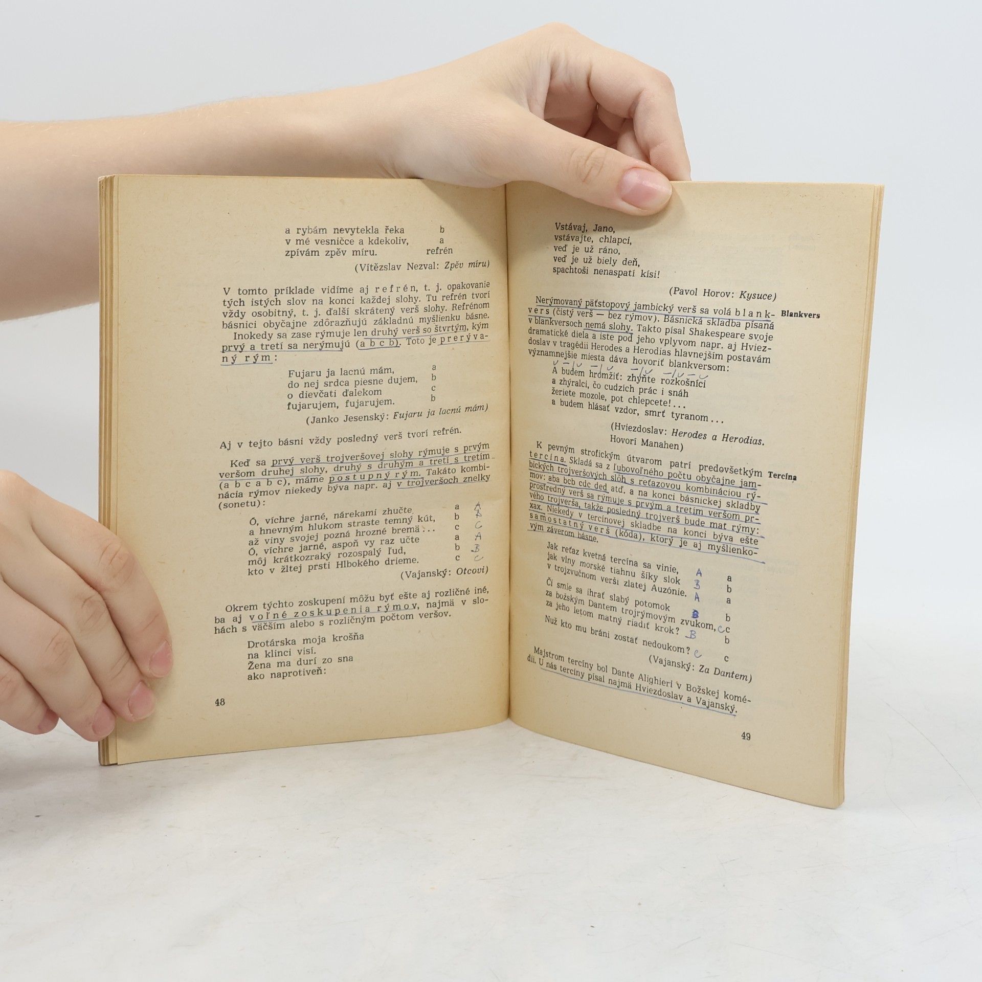 Collectif d'auteurs Základy teórie literatúry