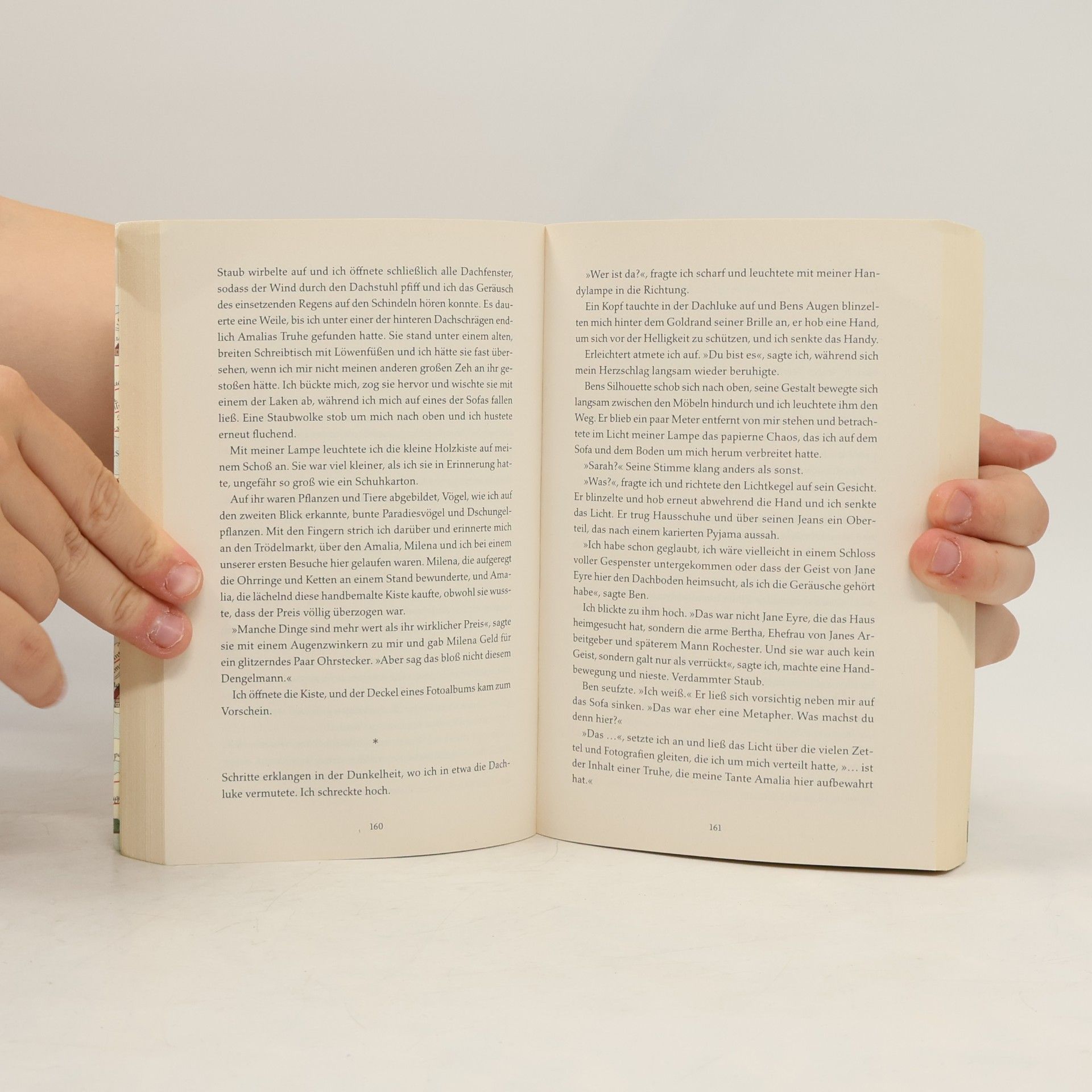 Elisabeth Beer Die Bücherjägerin