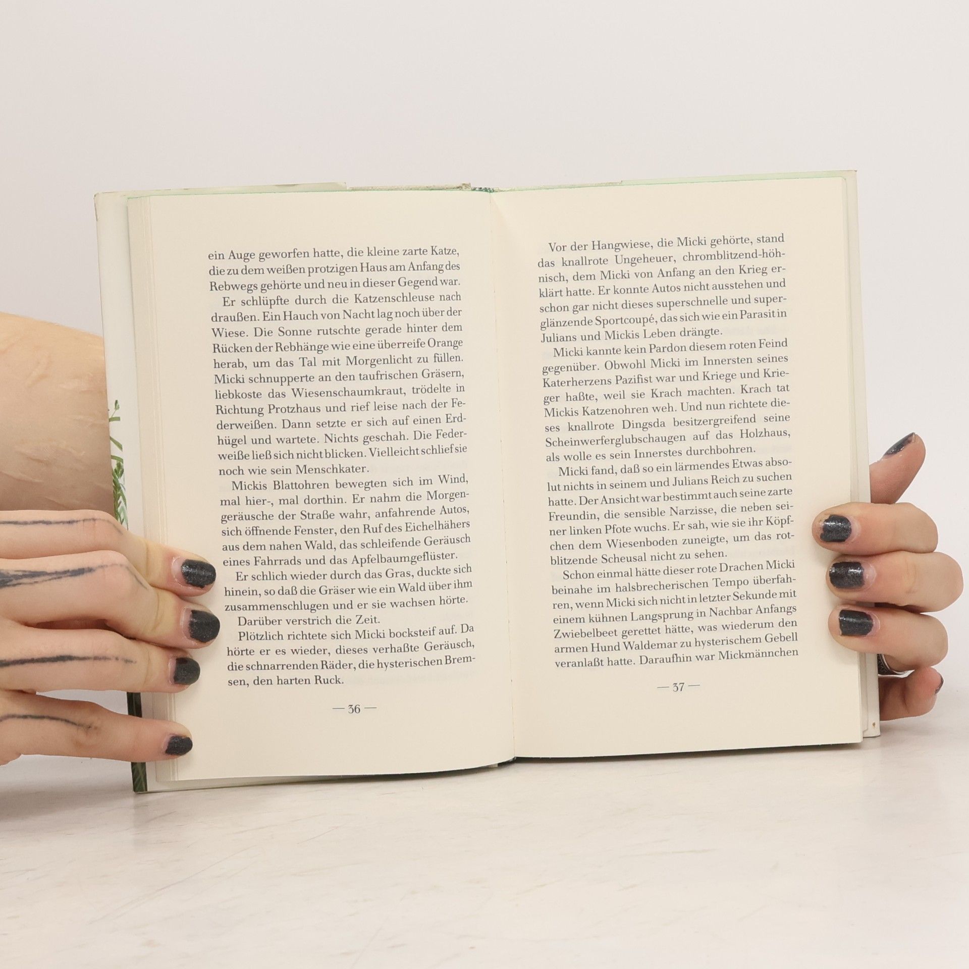Martina Magyari Samtpfote und der Duft von Gras