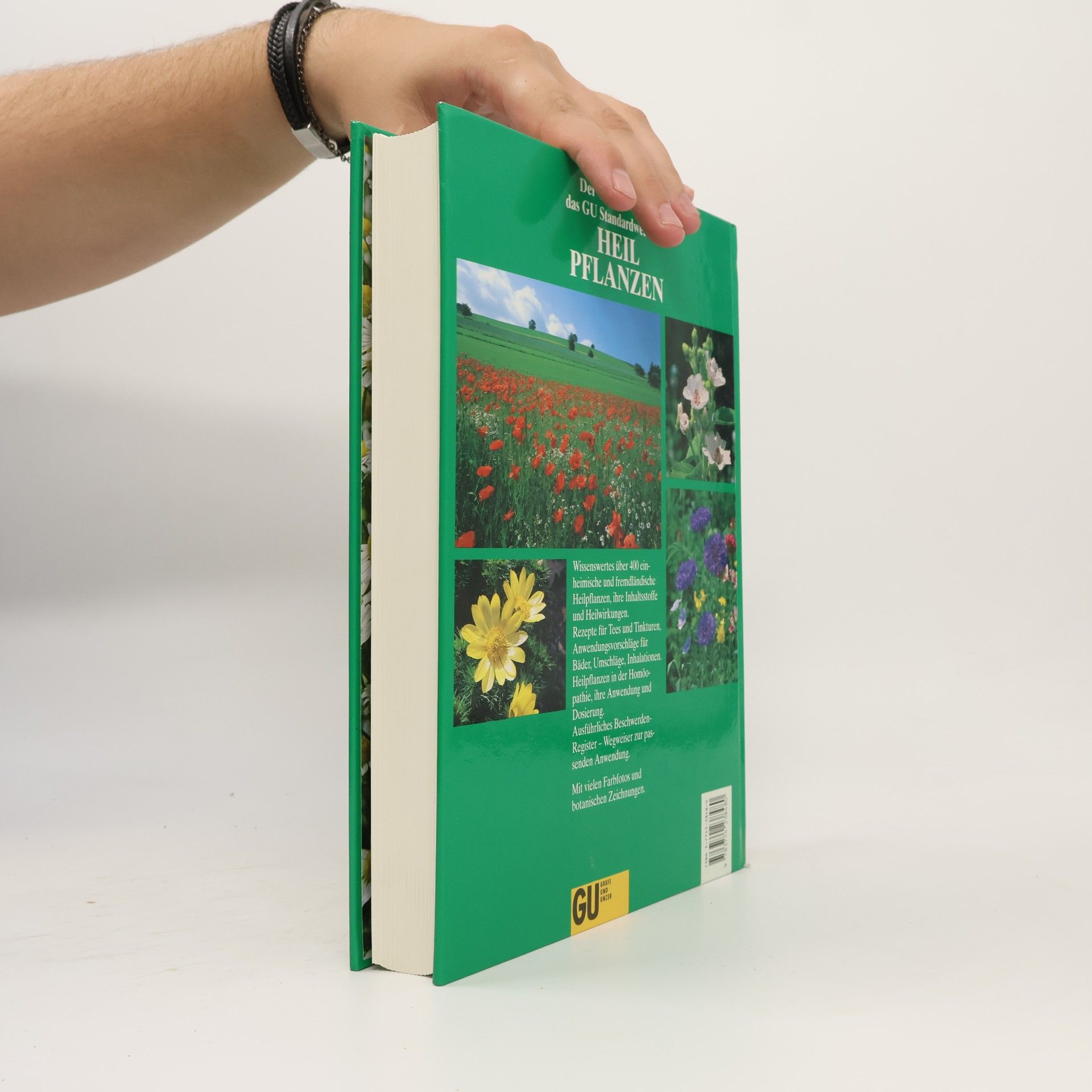 Mannfried Pahlow Das Große Buch der Heilpflanzen. Gesund durch die Heilkräfte der Natur