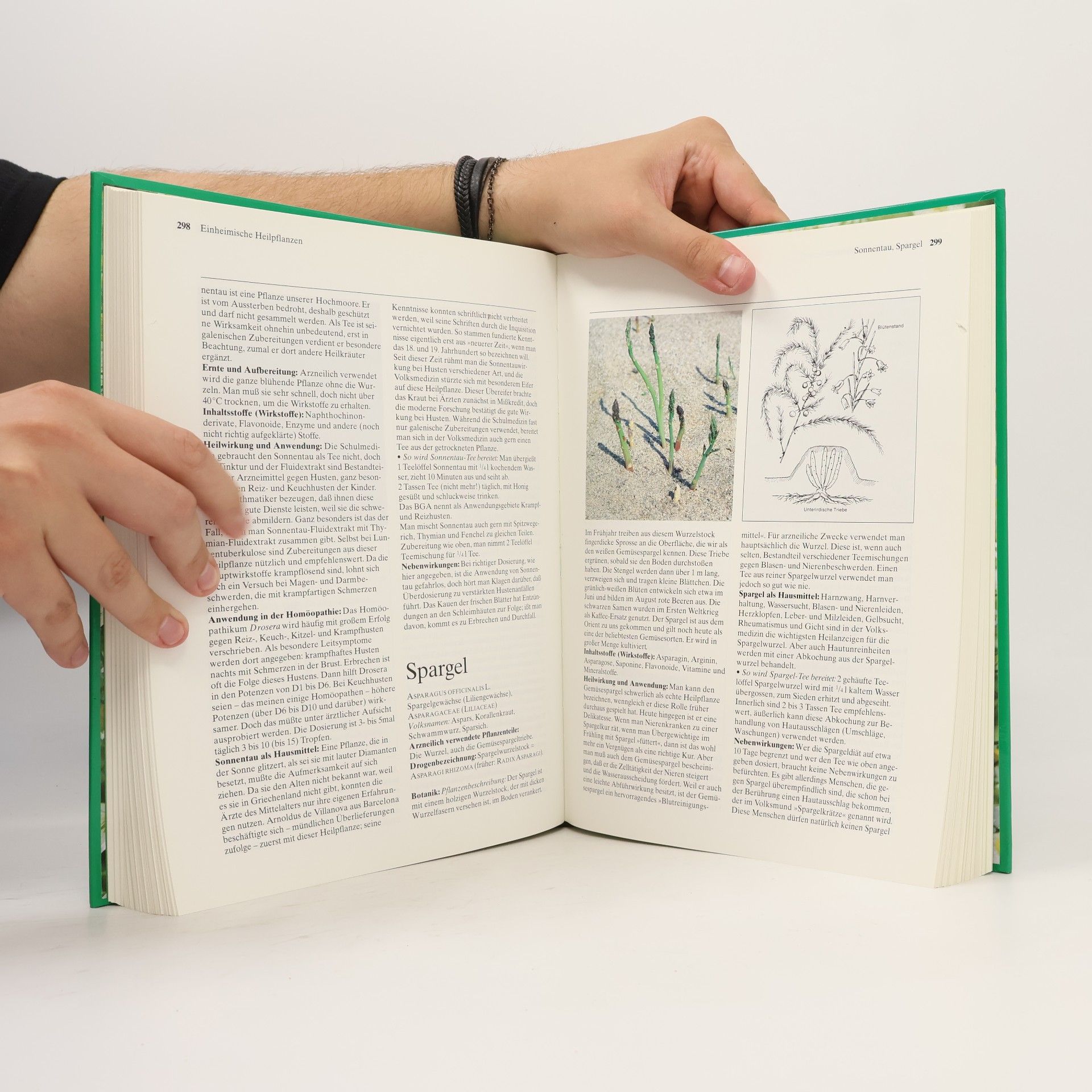Mannfried Pahlow Das Große Buch der Heilpflanzen. Gesund durch die Heilkräfte der Natur