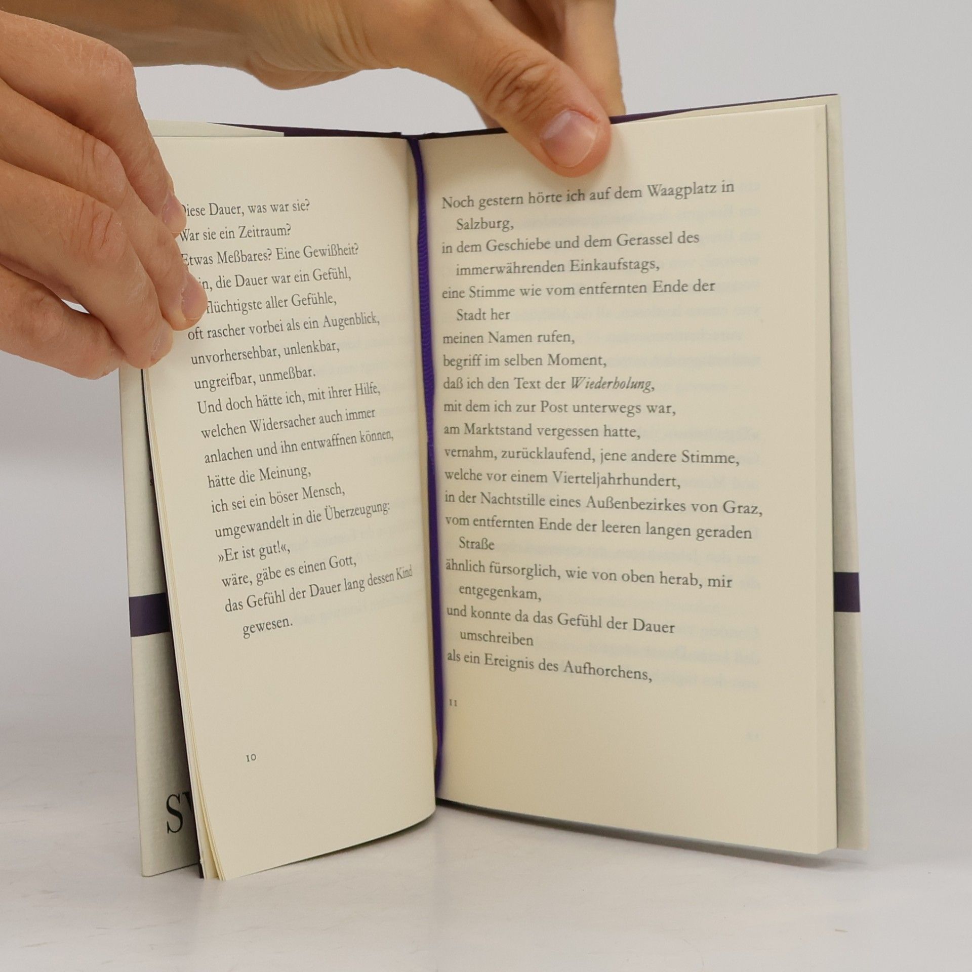 Peter Handke Gedicht an die Dauer