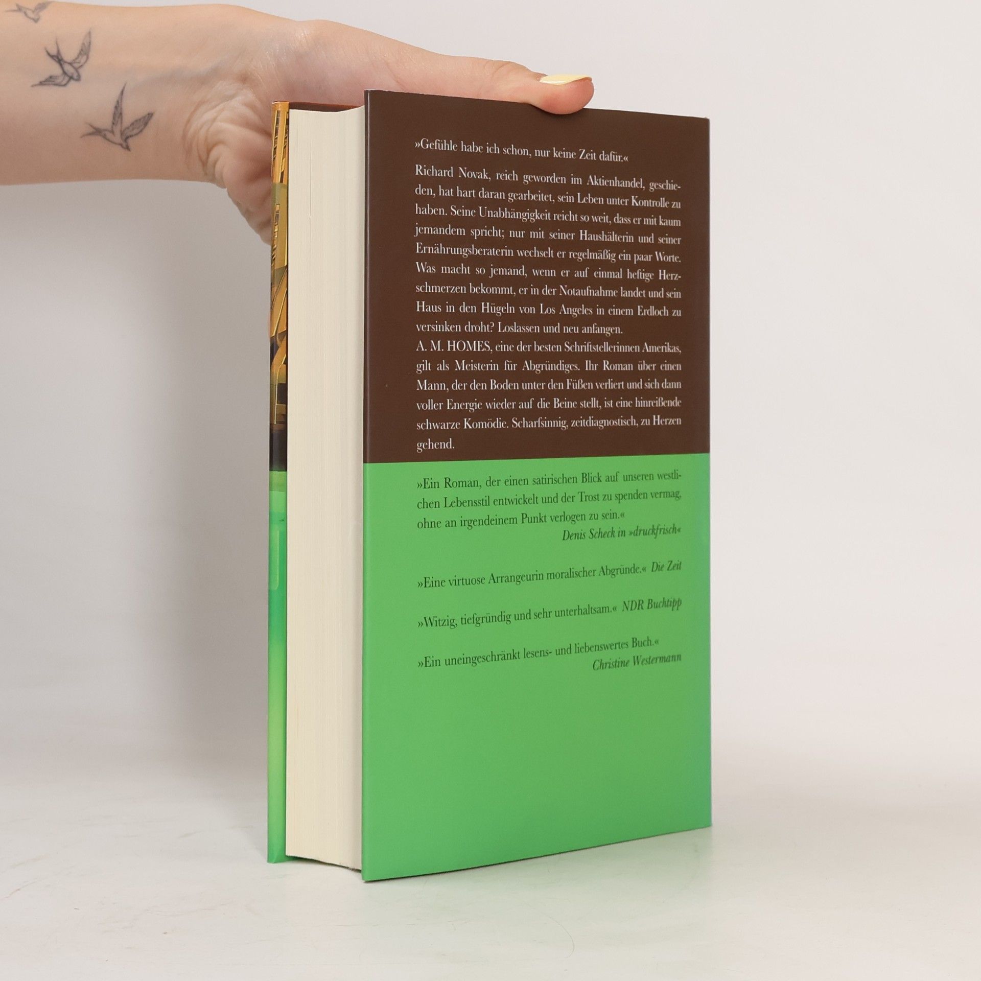 A. M. Homes Dieses Buch wird Ihr Leben retten