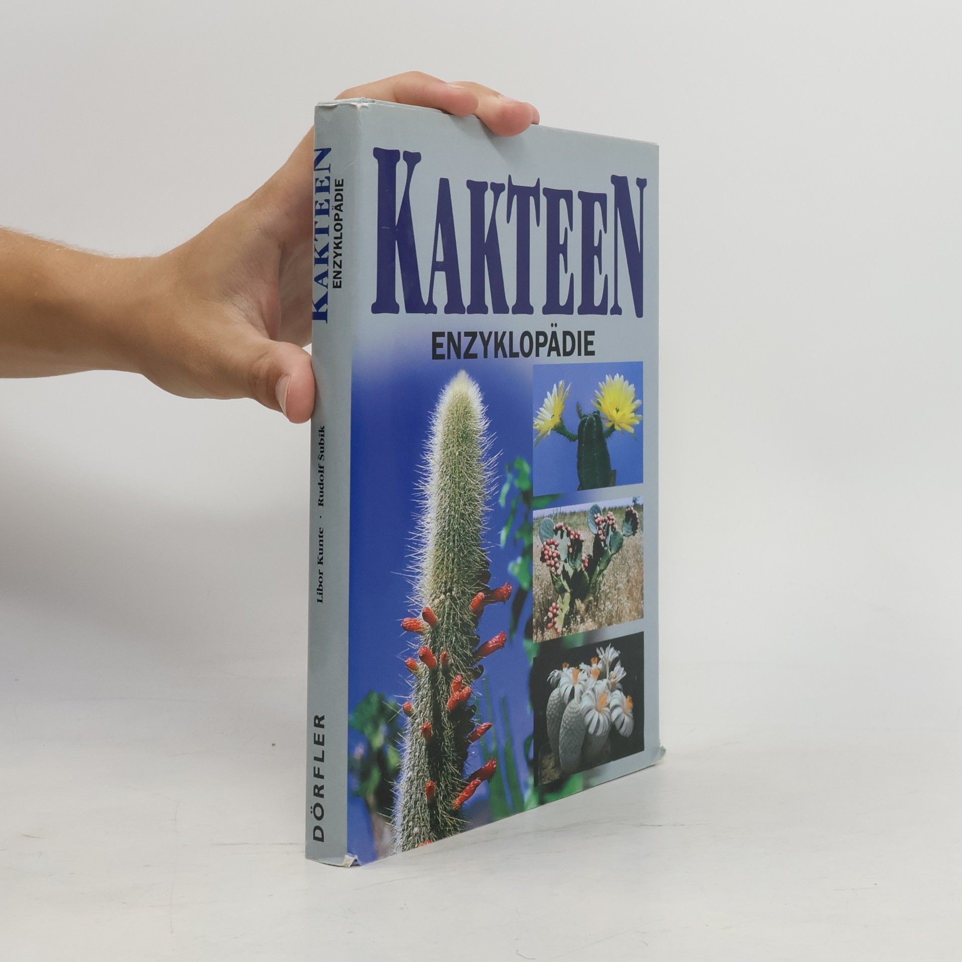 Collectif d'auteurs Die besten internationalen Rezepte